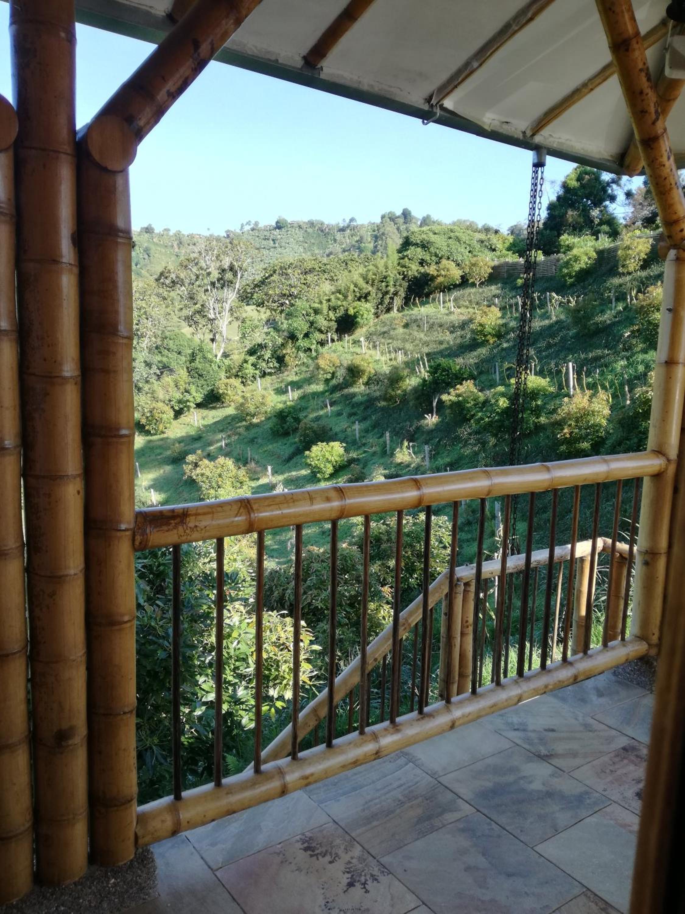 Finca Buenavista