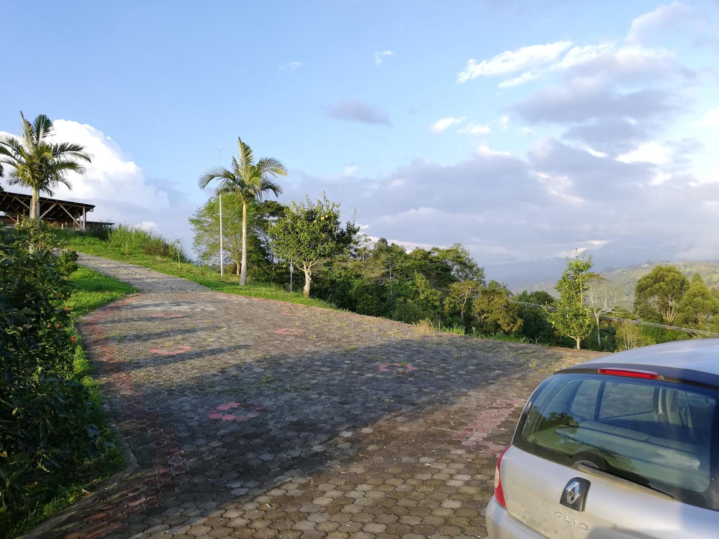 Finca Buenavista