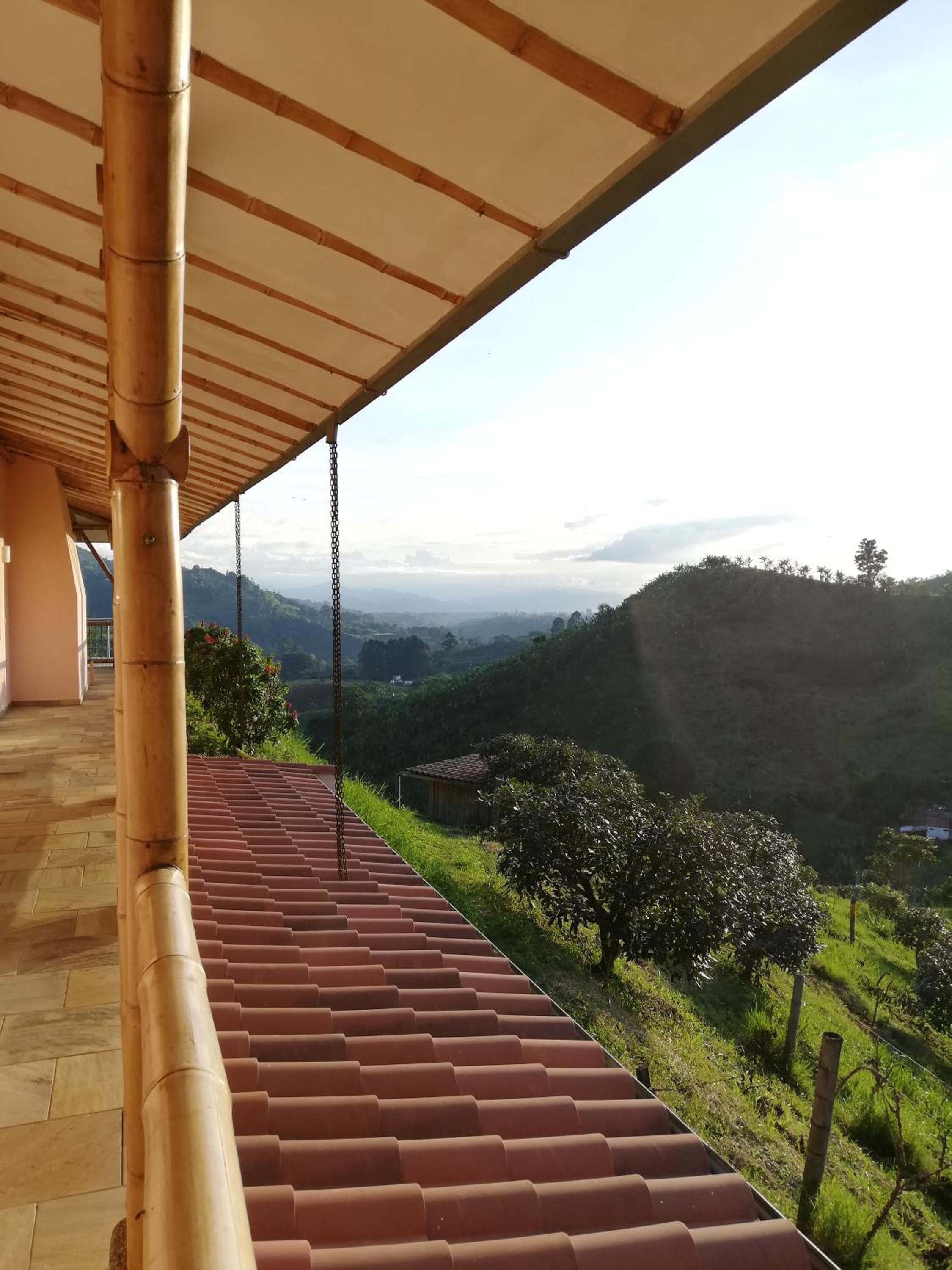 Finca Buenavista