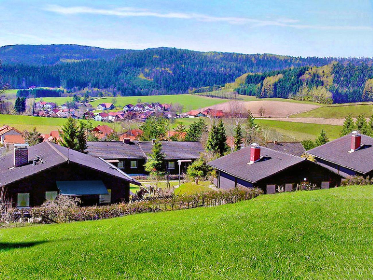 BayerischerWald-Ferien-Blockhaus-Panoramablick-Grafenau Haus im Wald-Vogelthenne 19, fast Alleinlage-ILZtal-Blick nähe Rothauer, Saldenburger, Ebenreuther 
