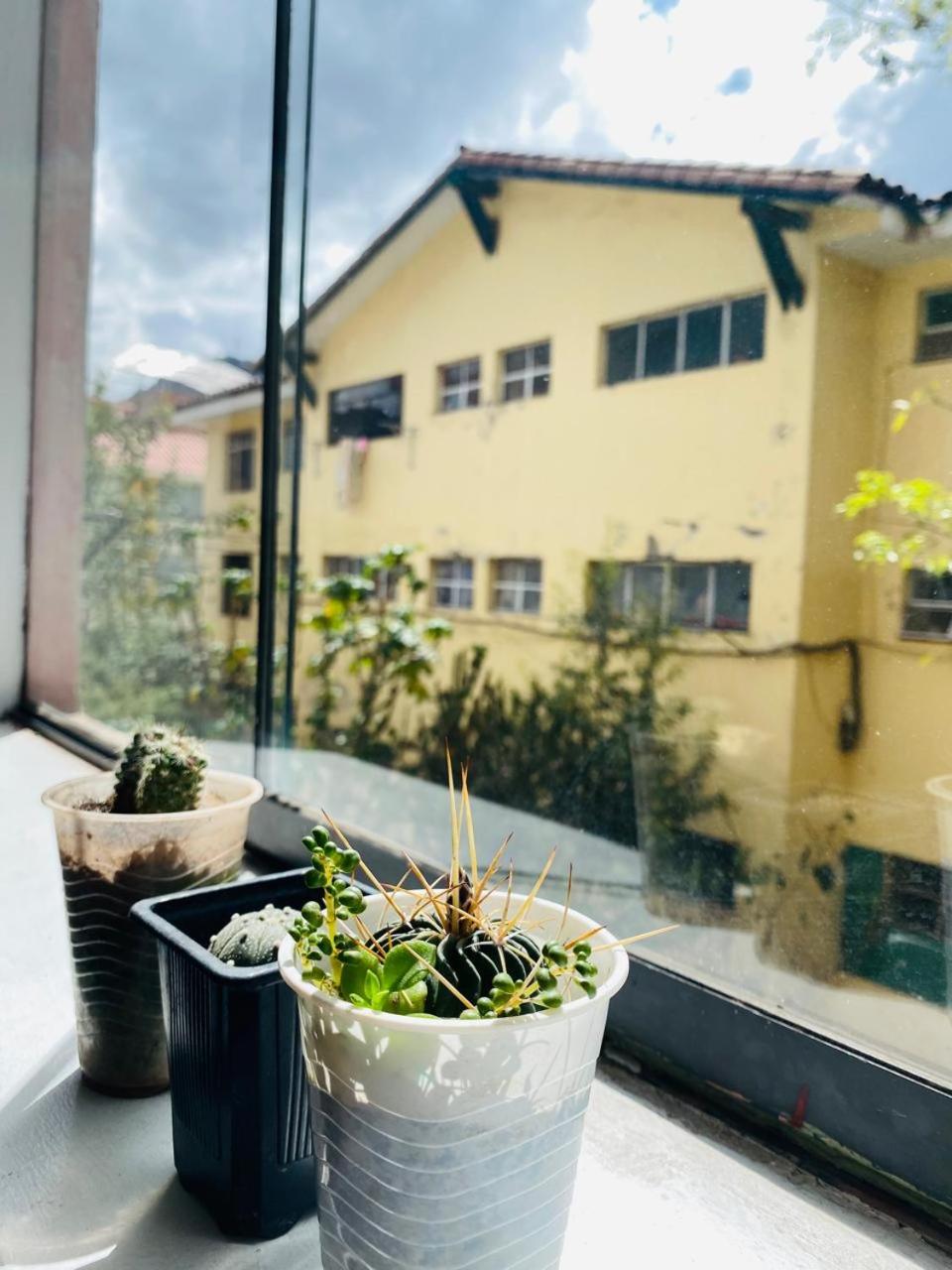 Departamento de Steph view 5