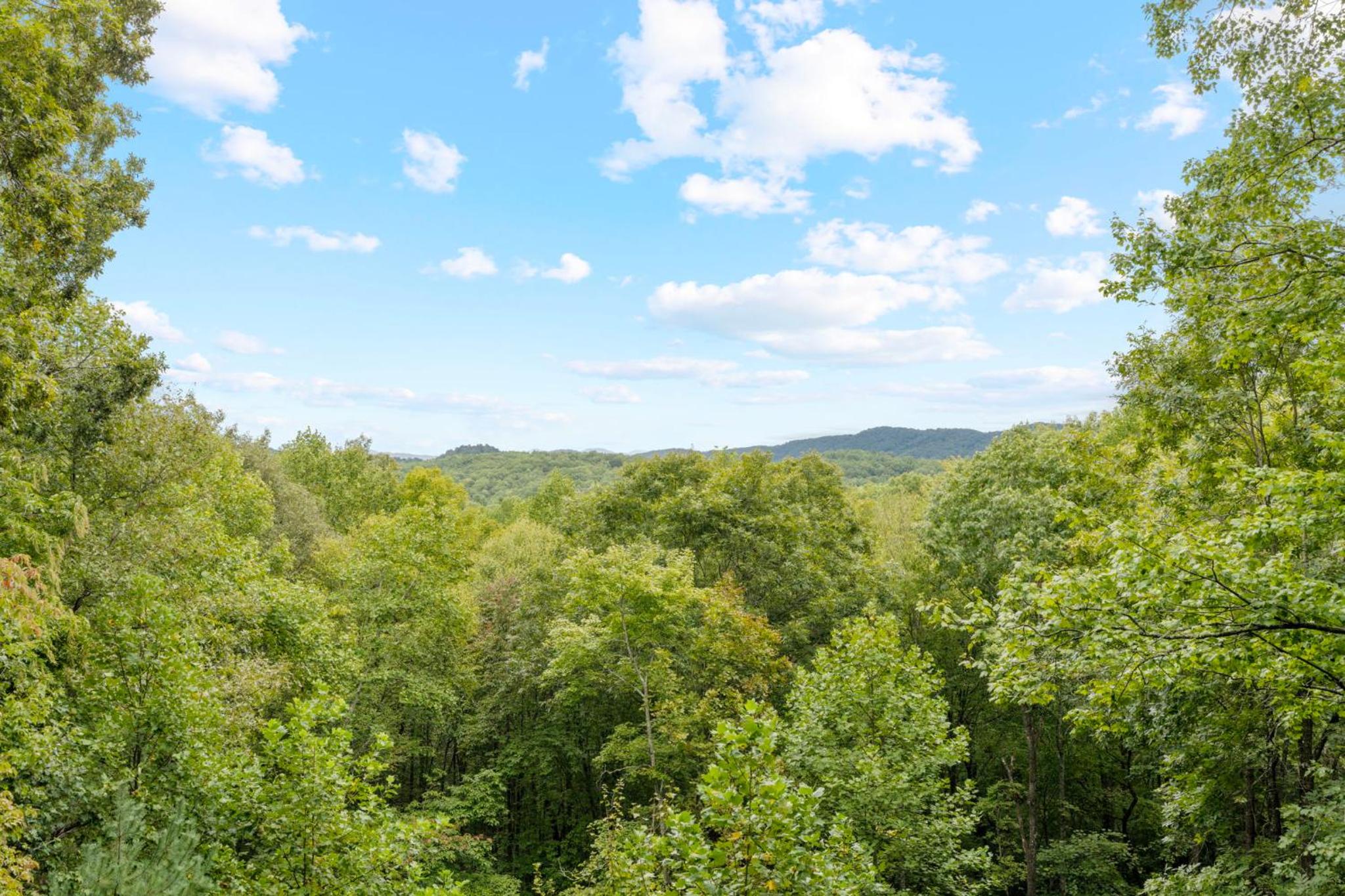 Charley Brown Cabin view 3