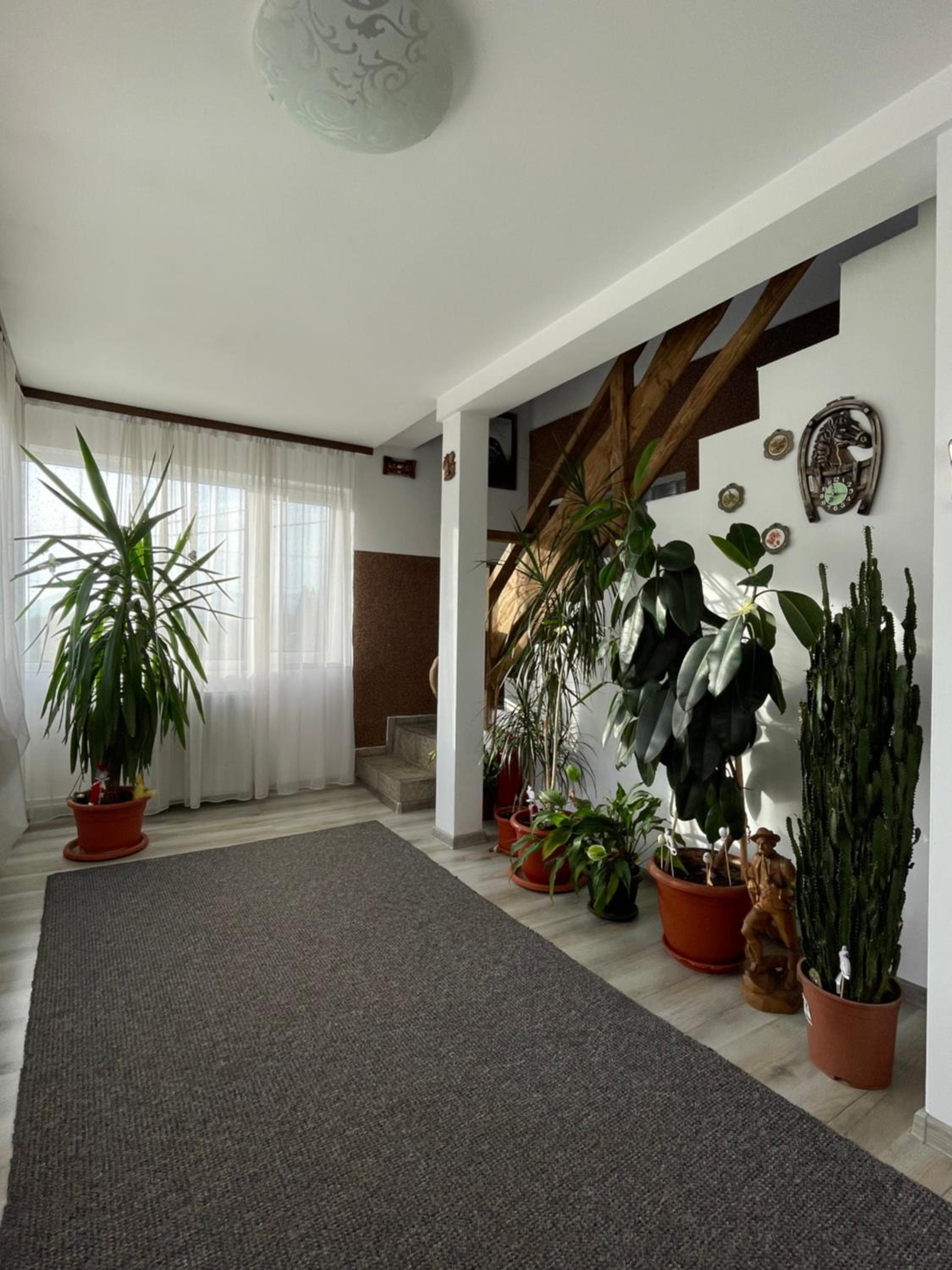 Photo 49