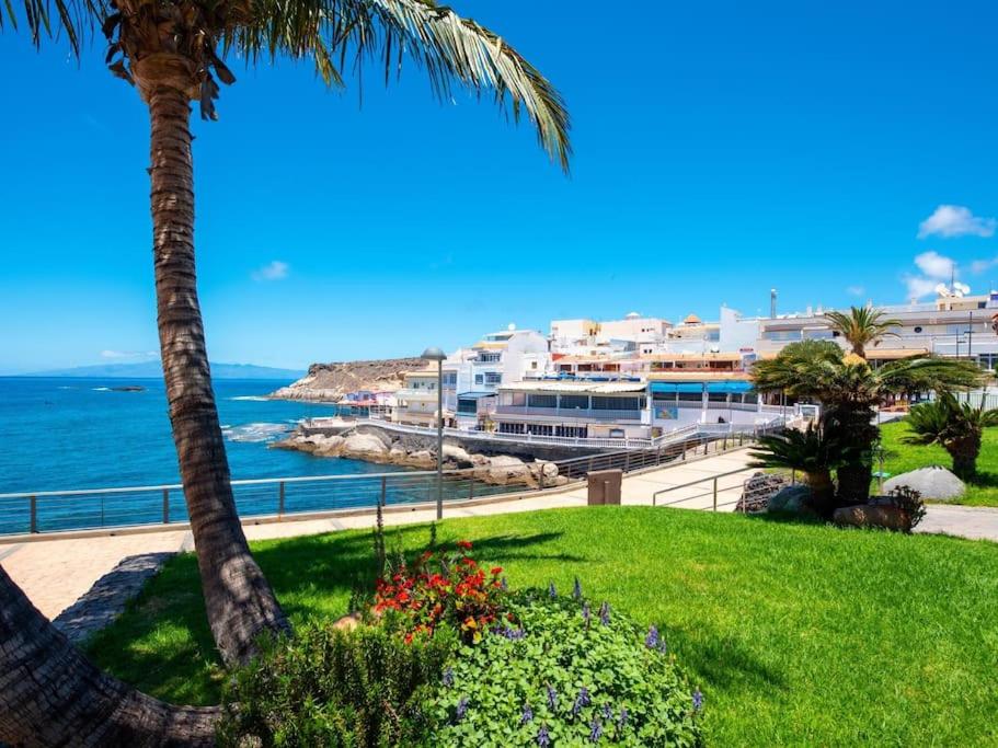 Amazing Apartment in Las Americas