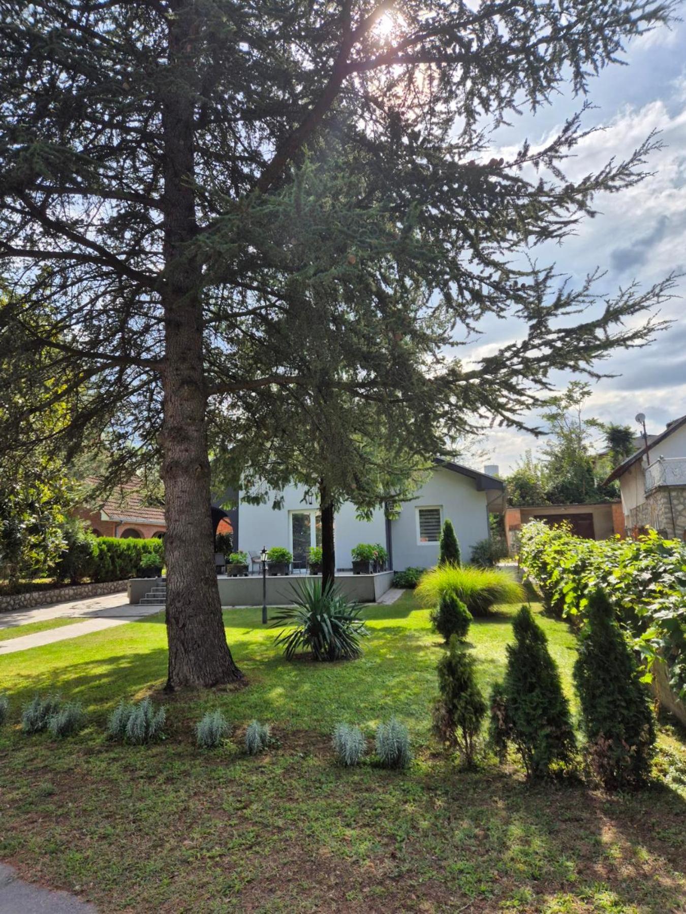 Silver Rose apartman