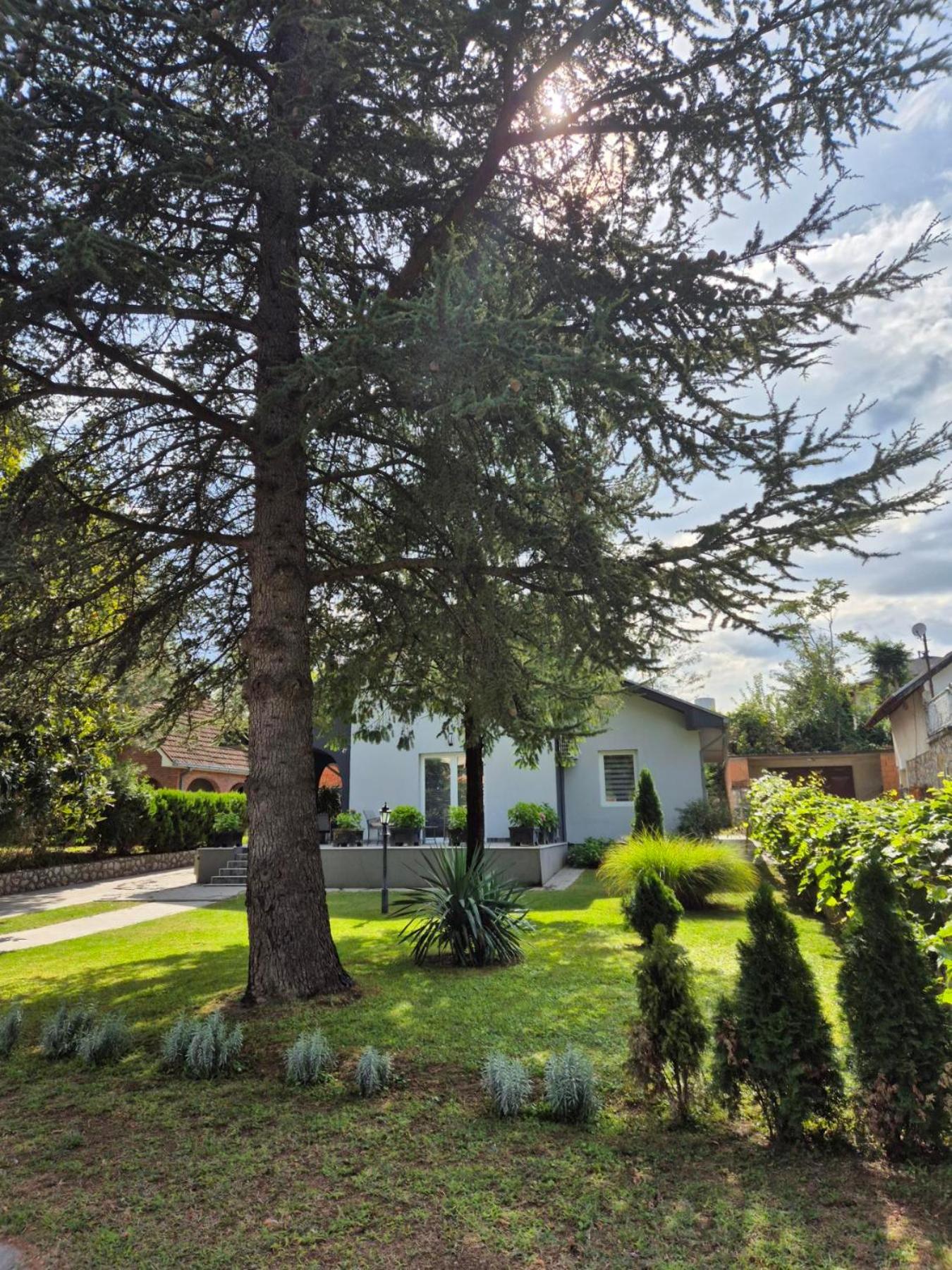 Silver Rose apartman