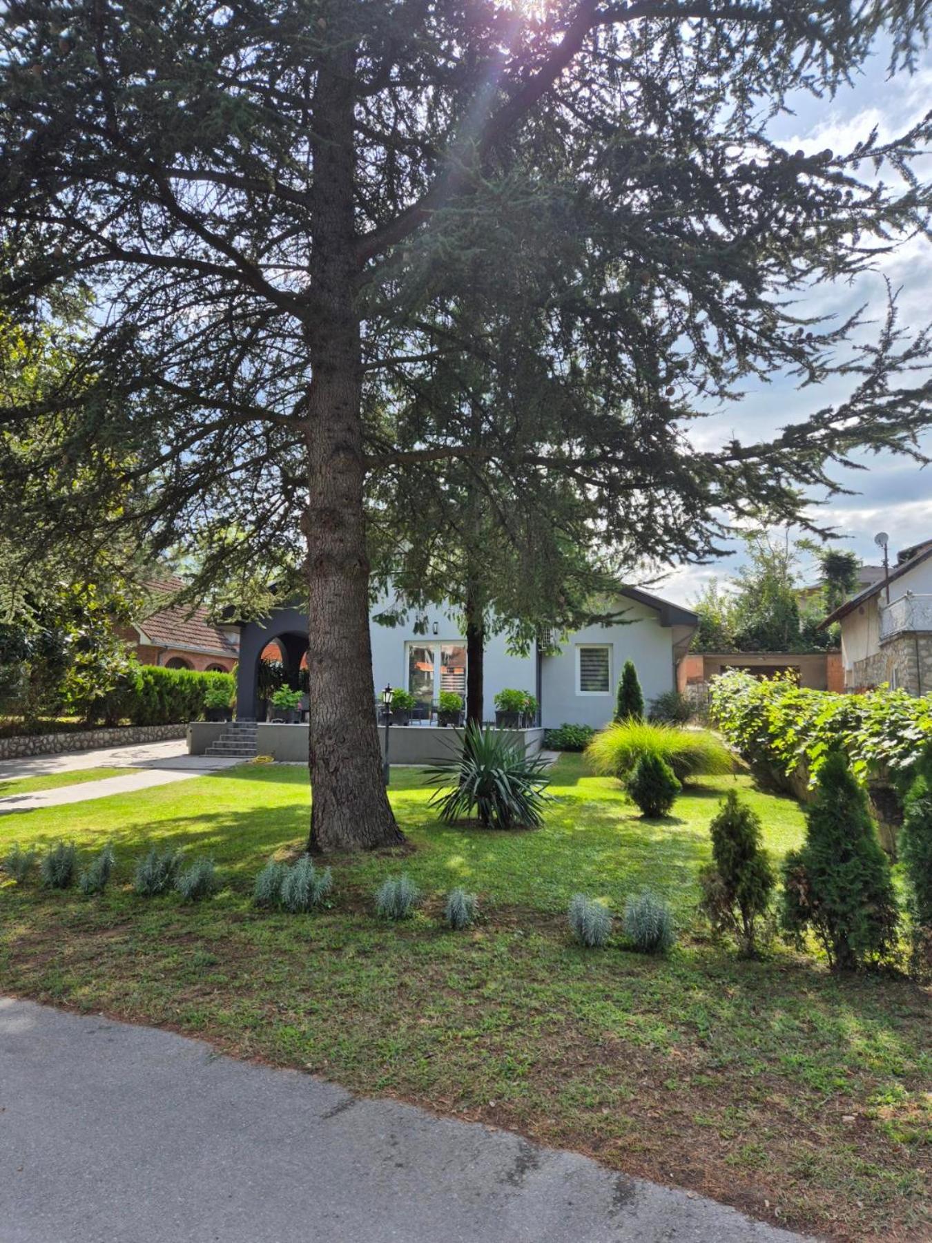 Silver Rose apartman