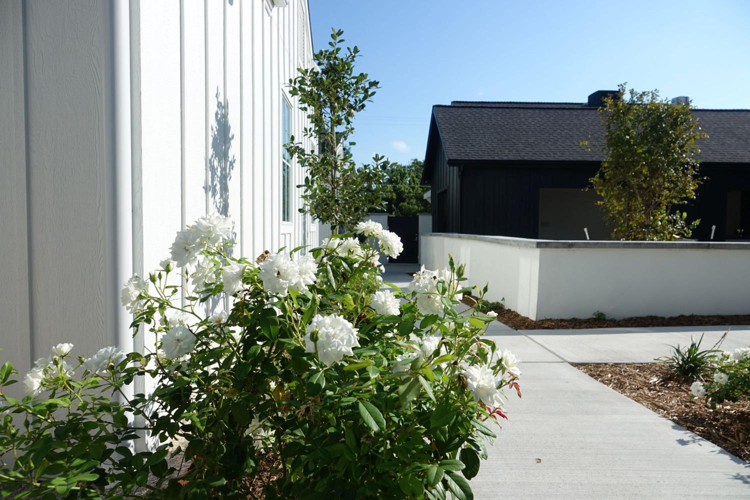 Whitetail Court Hotel