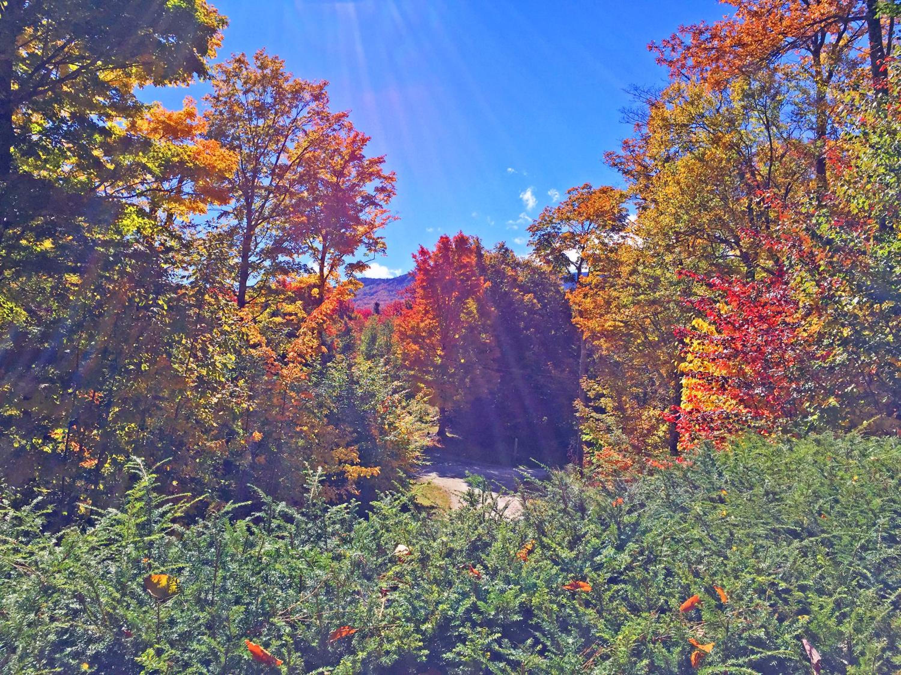 Killington Cabin - Right Unit - Sleeps 10 in 4 BR, 2 BA Cozy Escape
