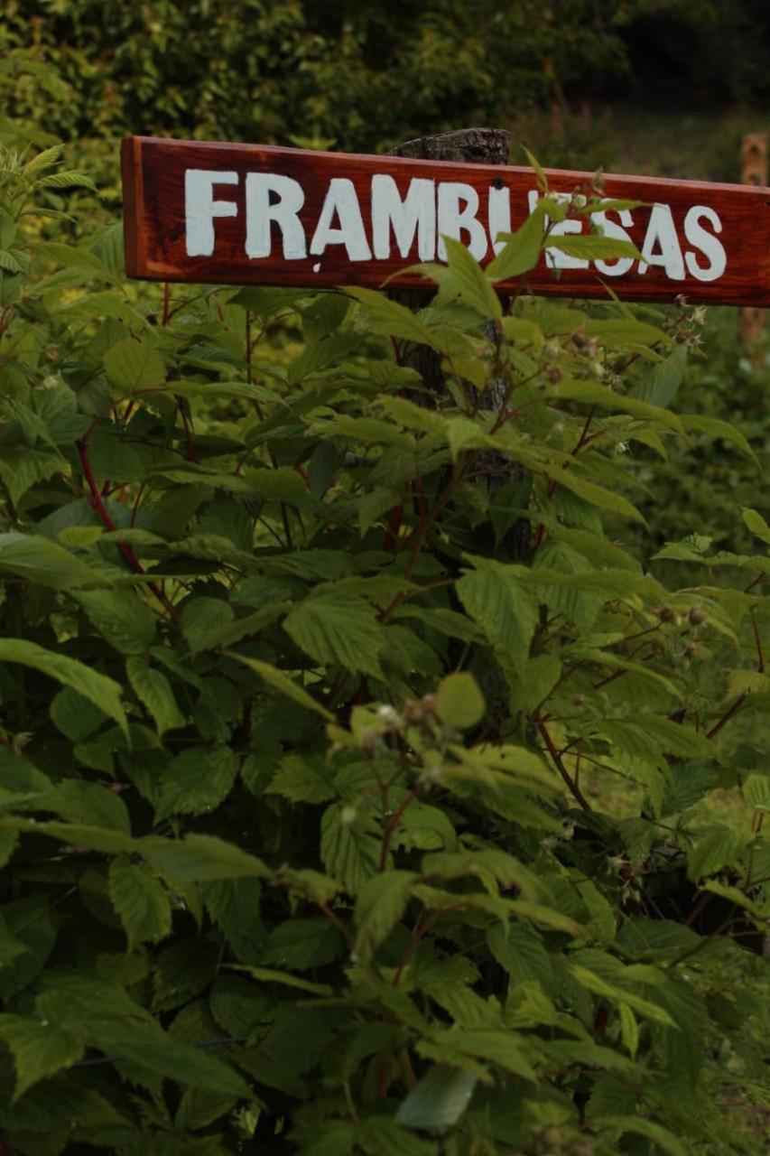 Criollo Lodge