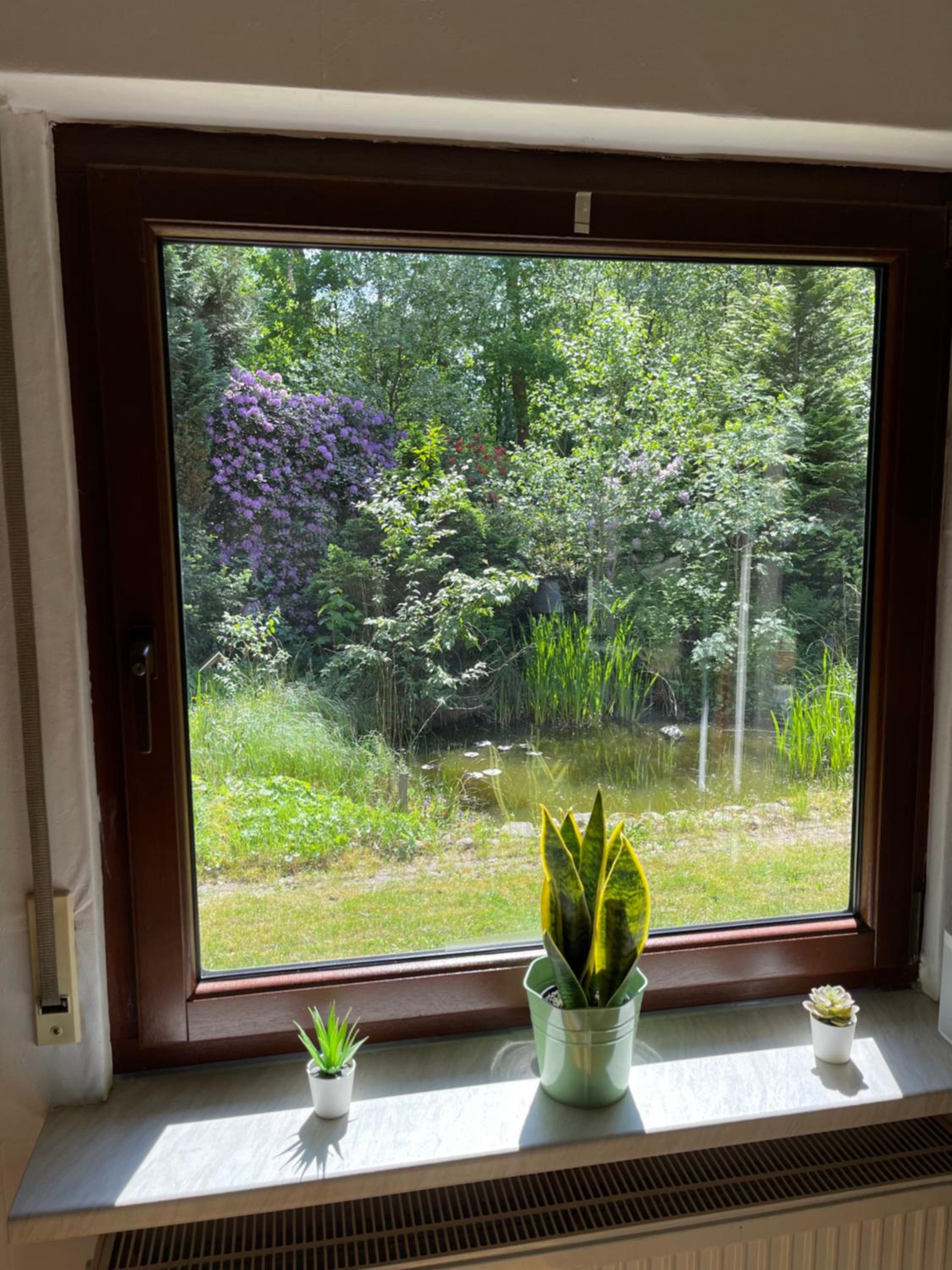 Ruhige Auszeit in der Lüneburger Heide, Hundefreundlich, WLAN, Netflix, Hamburg Nähe