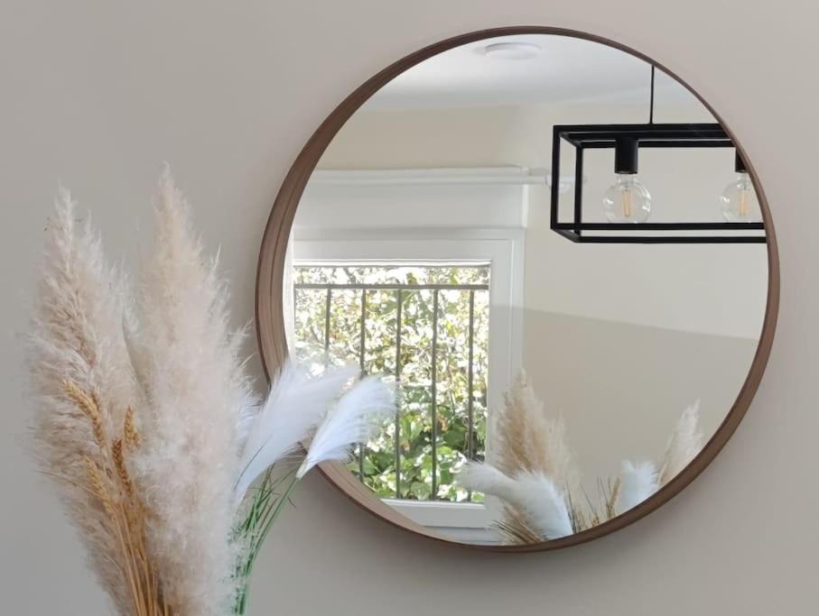 Amplio y tranquilo apartamento casa