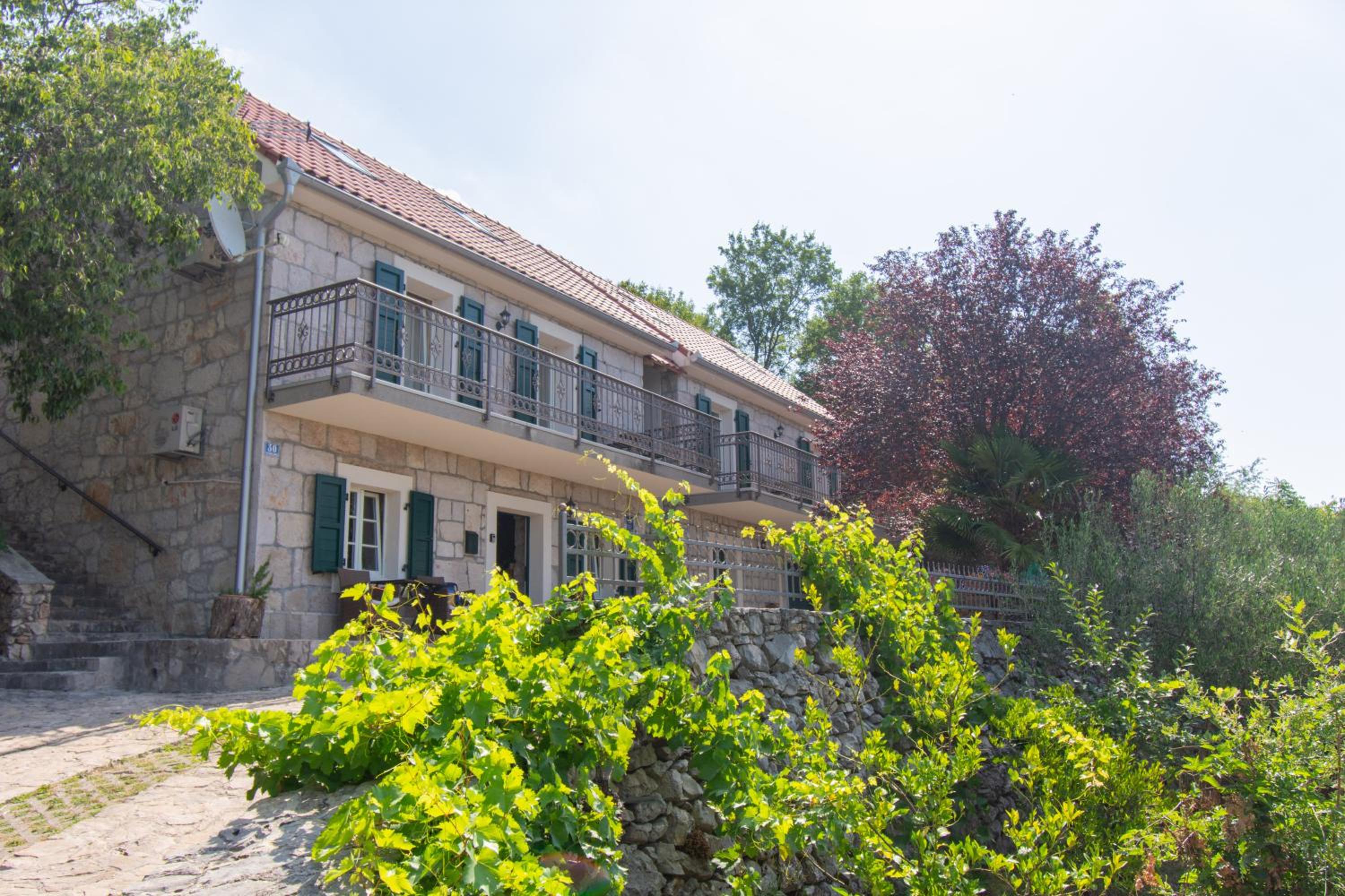 Villa Madunic with private swimming pool view 4