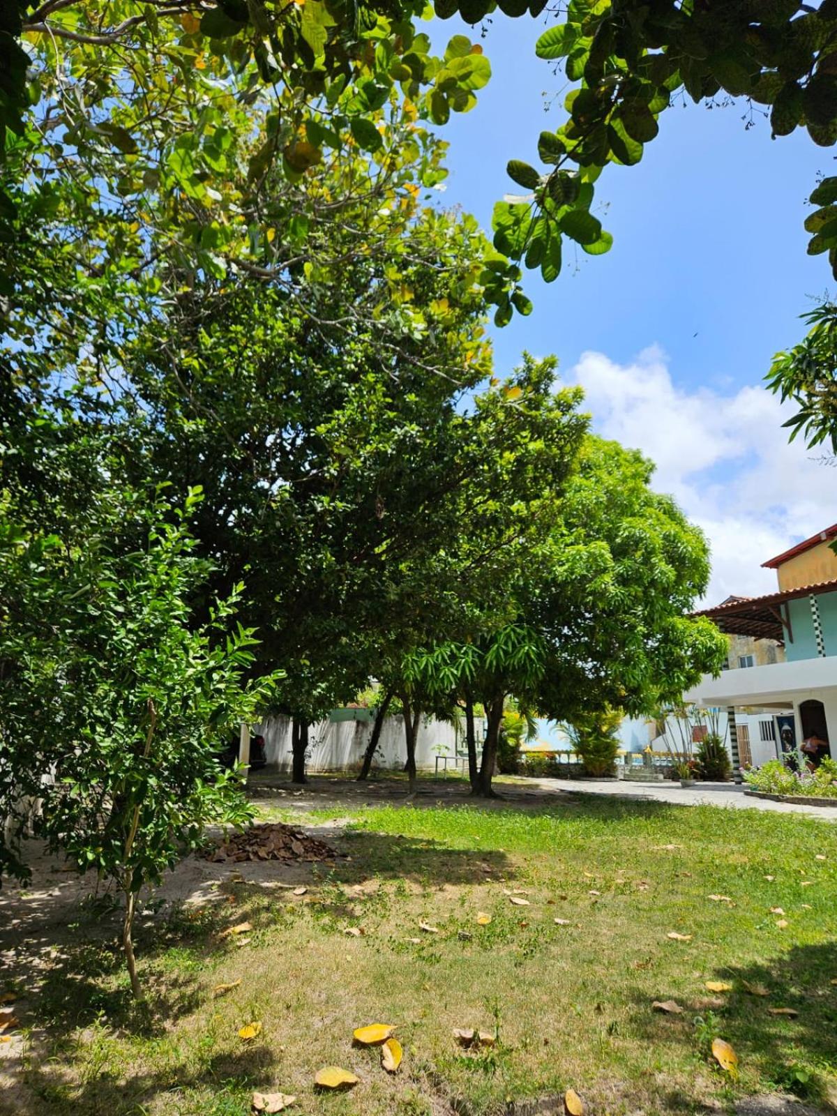 Jambu Hostel PB