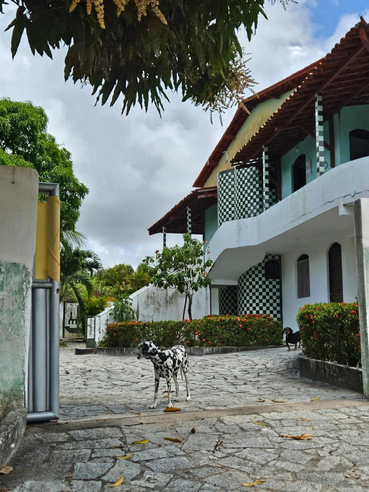 Jambu Hostel PB