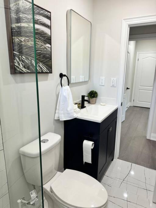 3 BR - Renovated - Free Onsite Parking