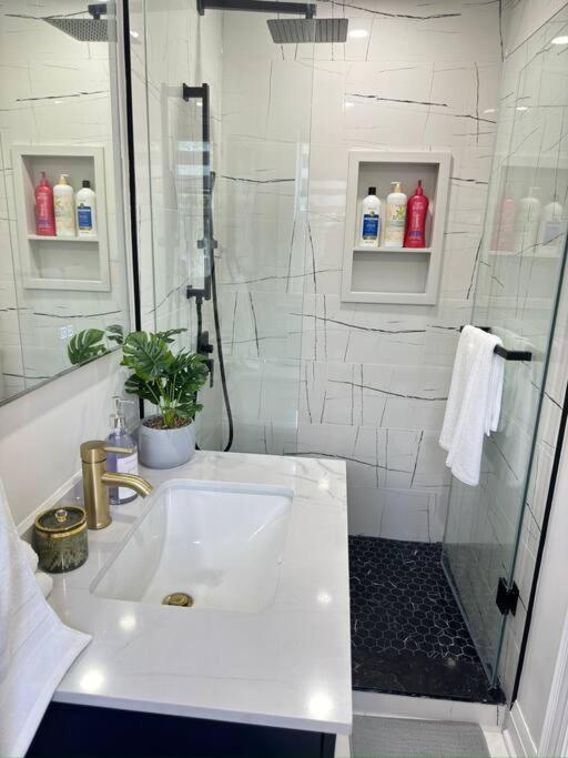 3 BR - Renovated - Free Onsite Parking