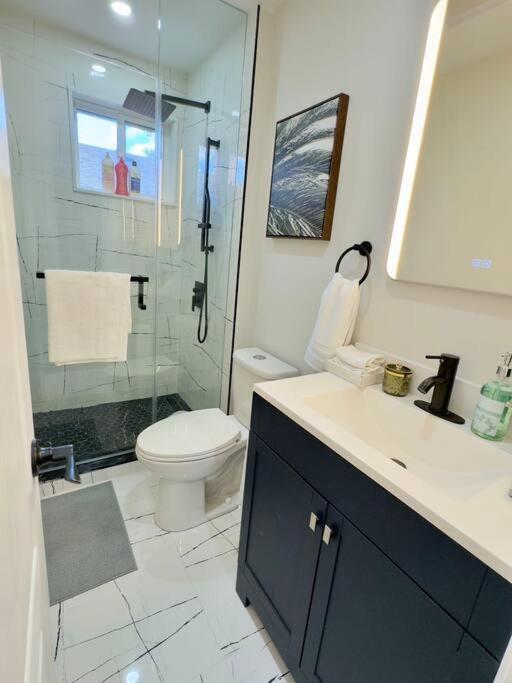 3 BR - Renovated - Free Onsite Parking