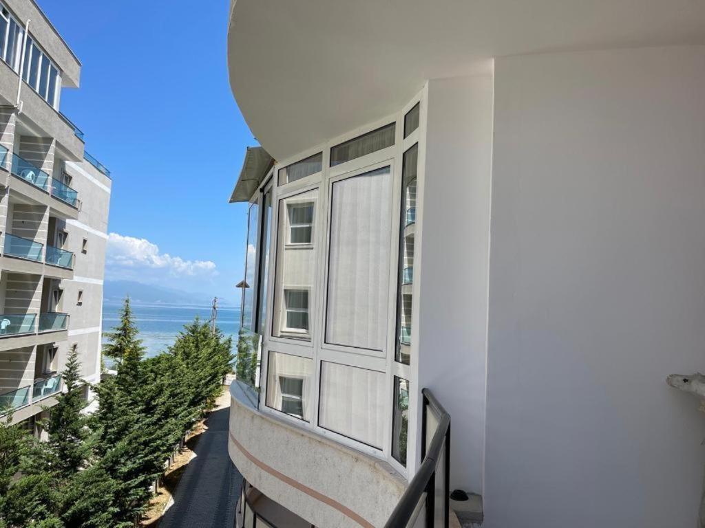 Mikpritja Pogradec, Tushemisht 5