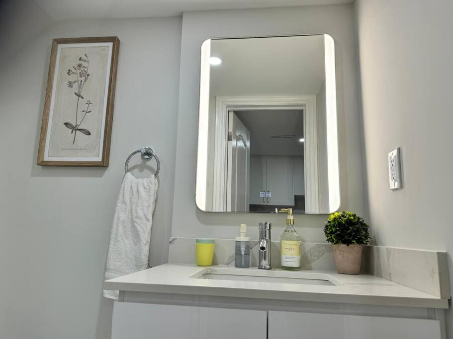 Renovated - Private Entrance & Kitchen - 1 Bedroom