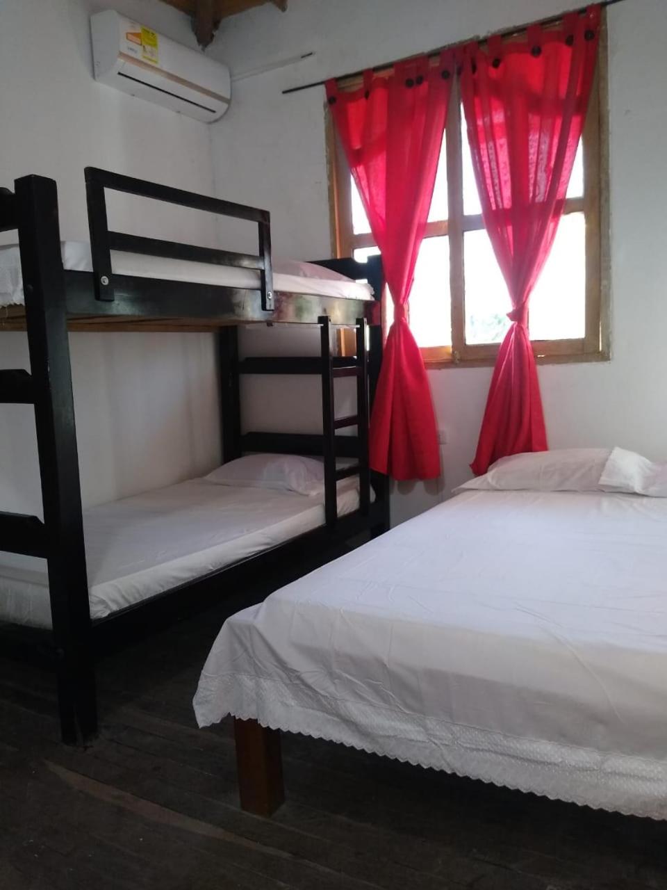 Caribean campestre
