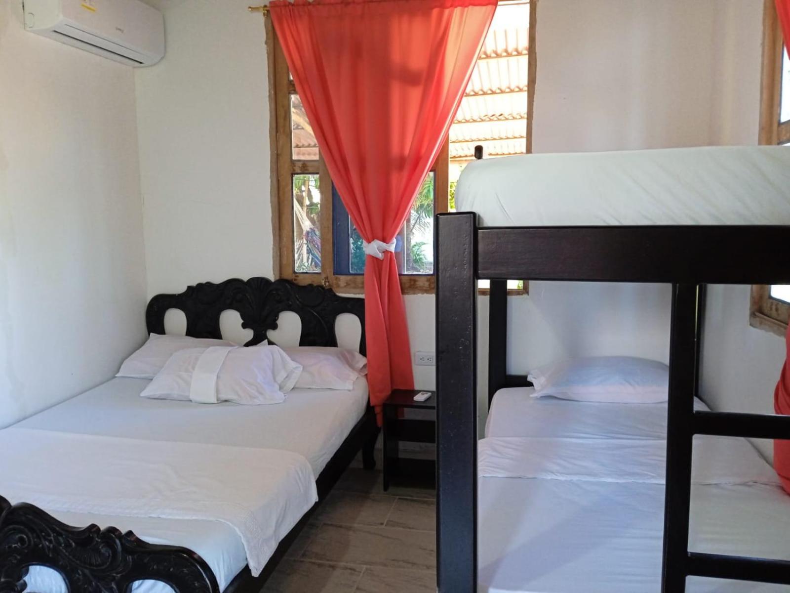 Caribean campestre