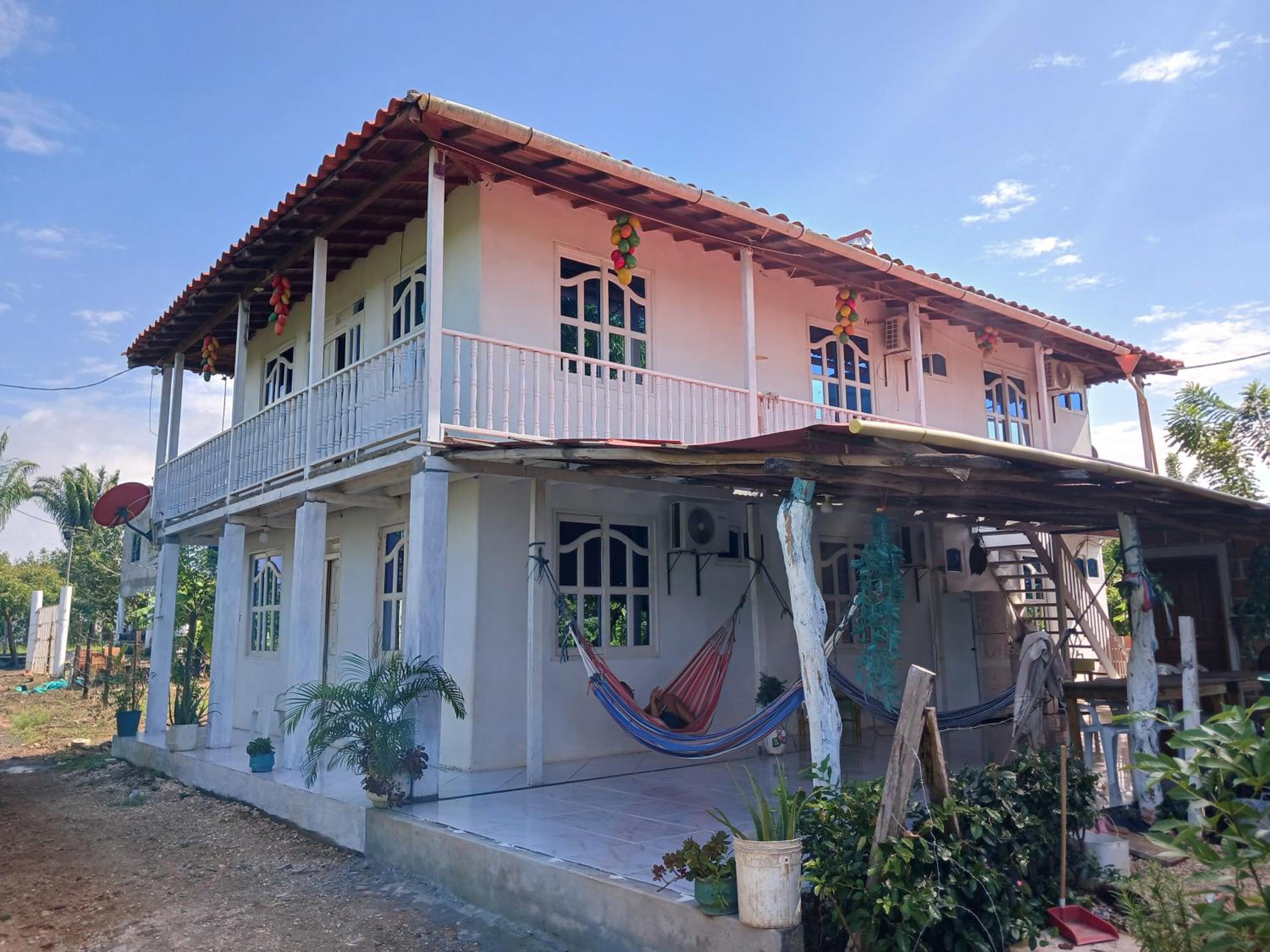 Caribean campestre