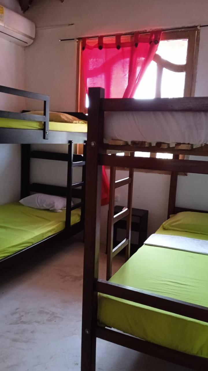 Caribean campestre