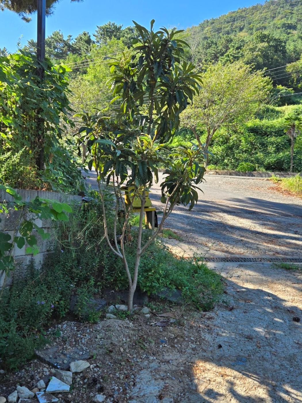 Photo 43