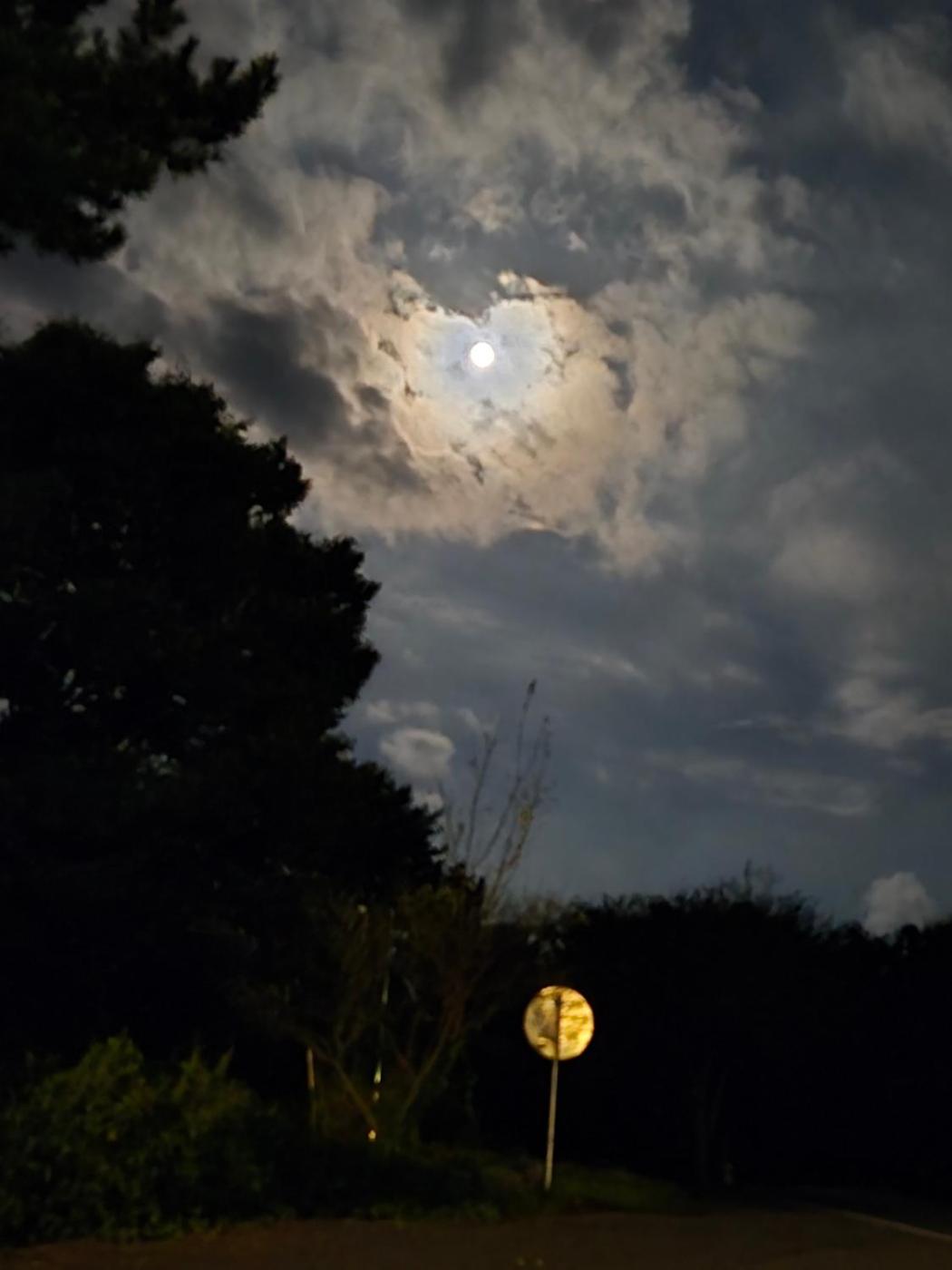Photo 44