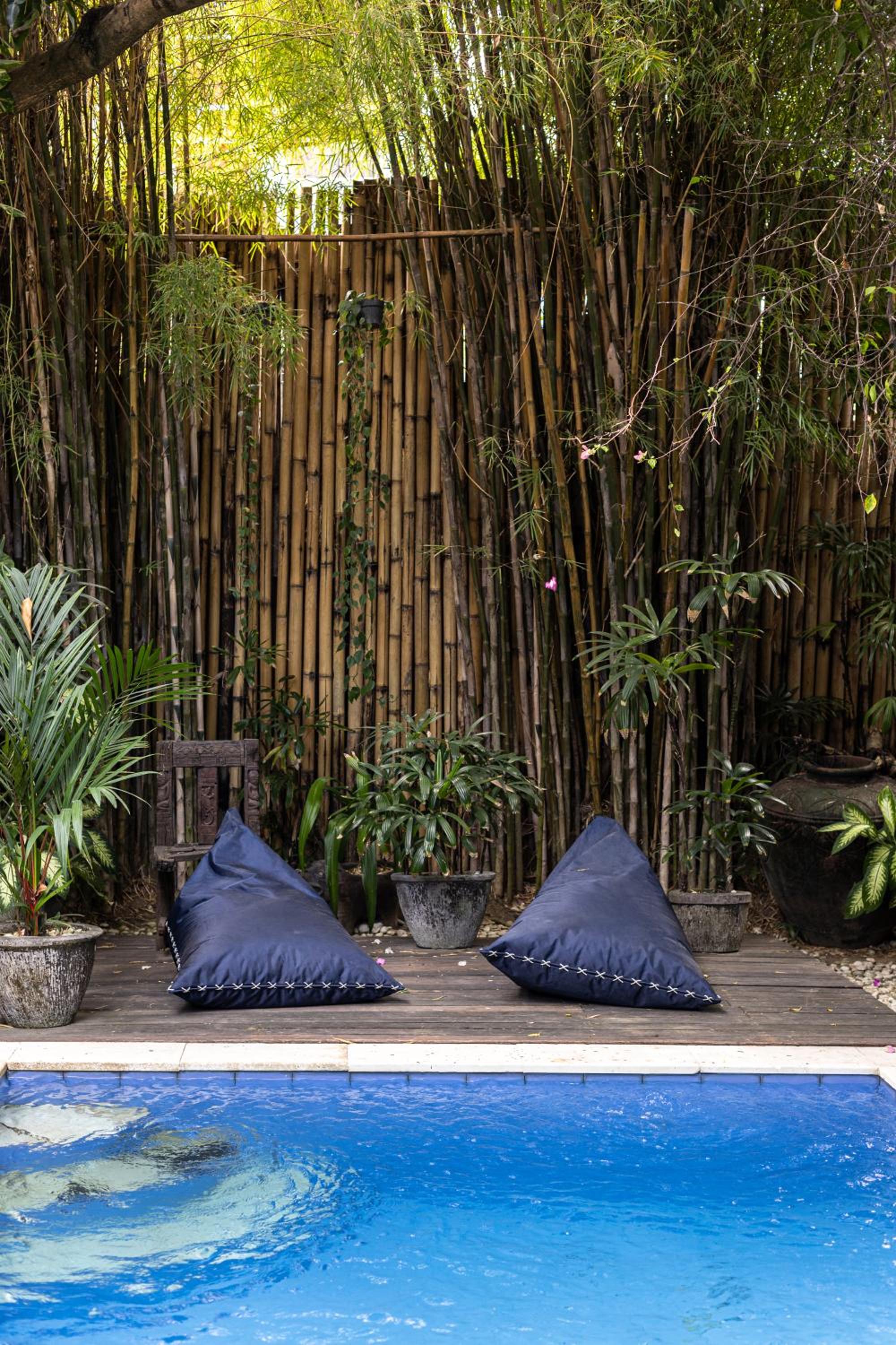 Canggu's Hidden Gem - 2 Mins from Finns — recepcion & lobby