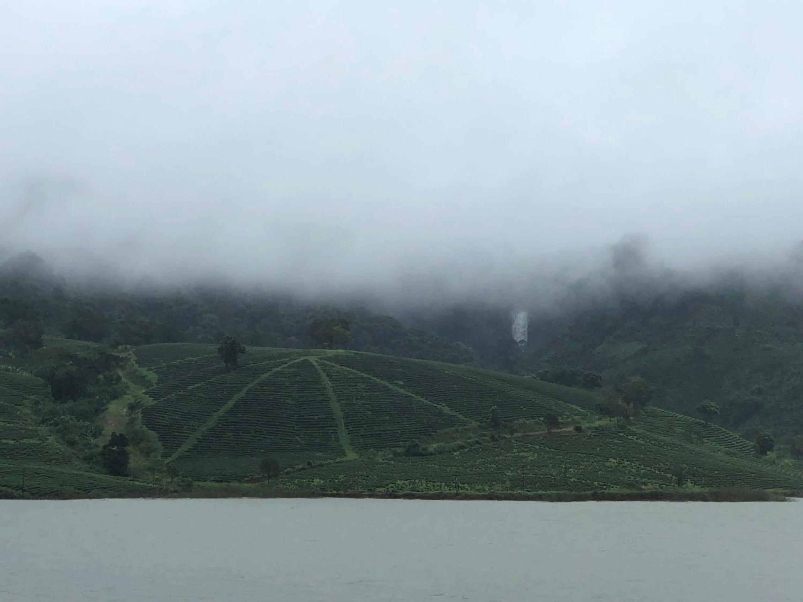 Vườn An Trú view 2