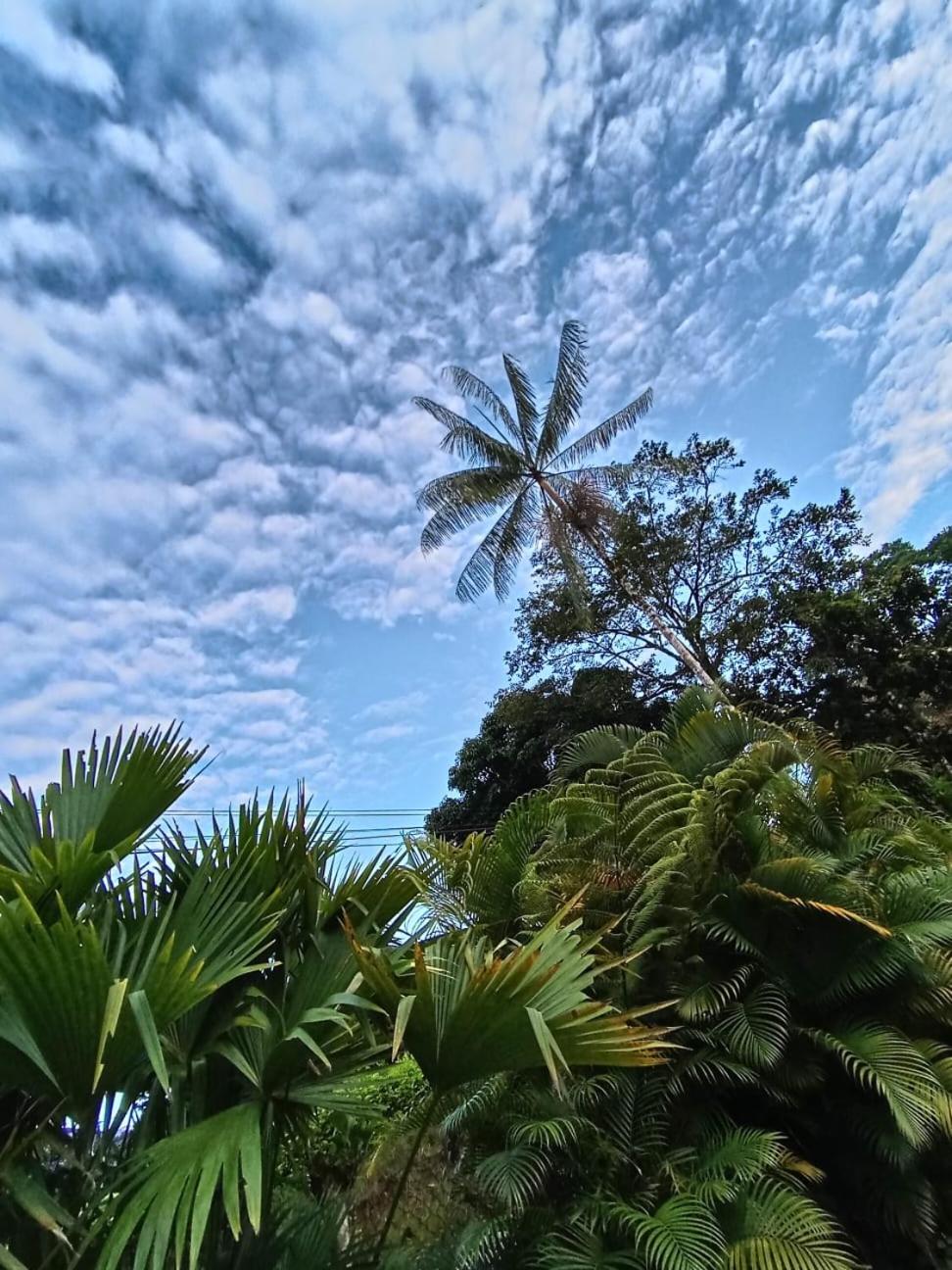 SOL & SELVA Hostal Mocoa Putumayo