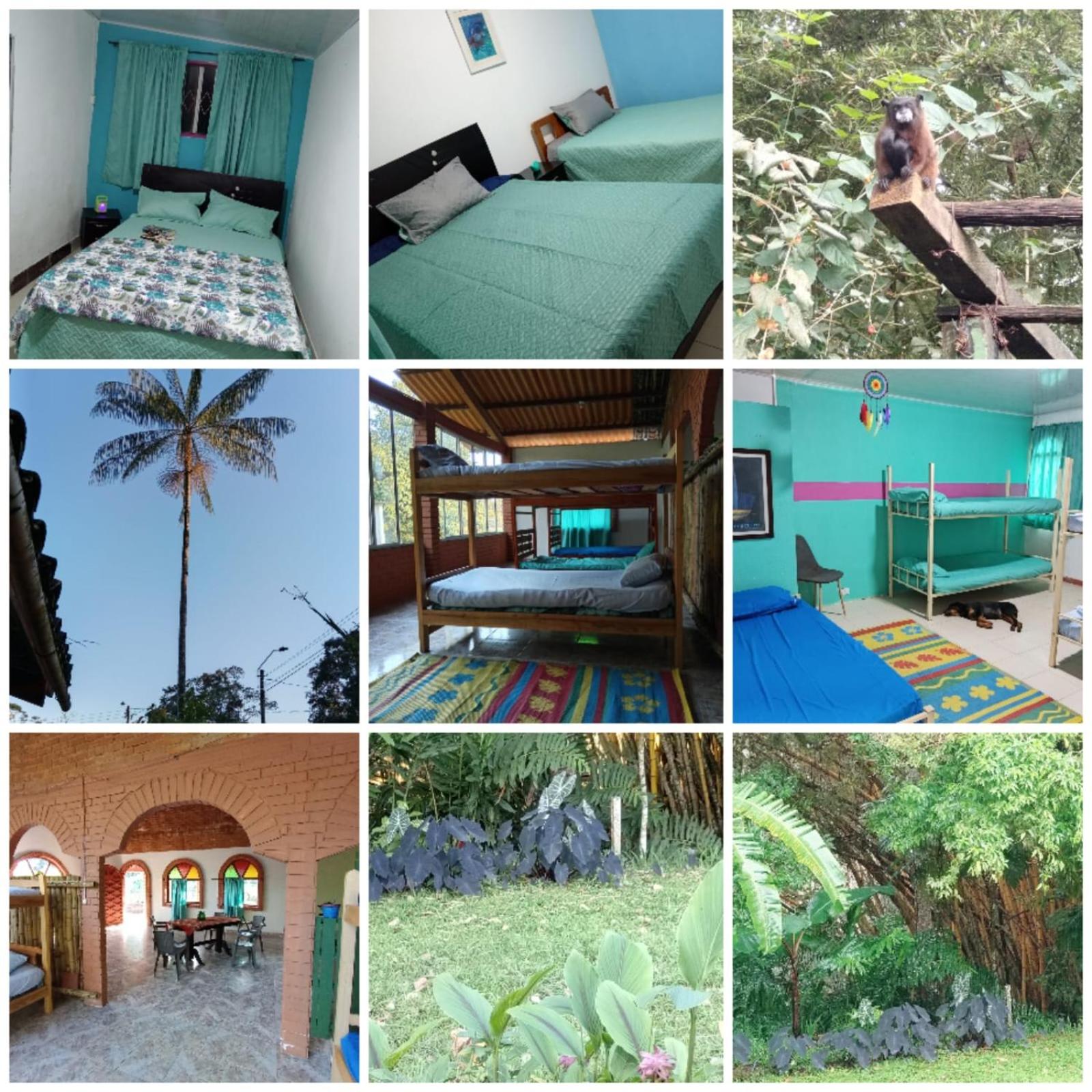 SOL & SELVA Hostal Mocoa Putumayo