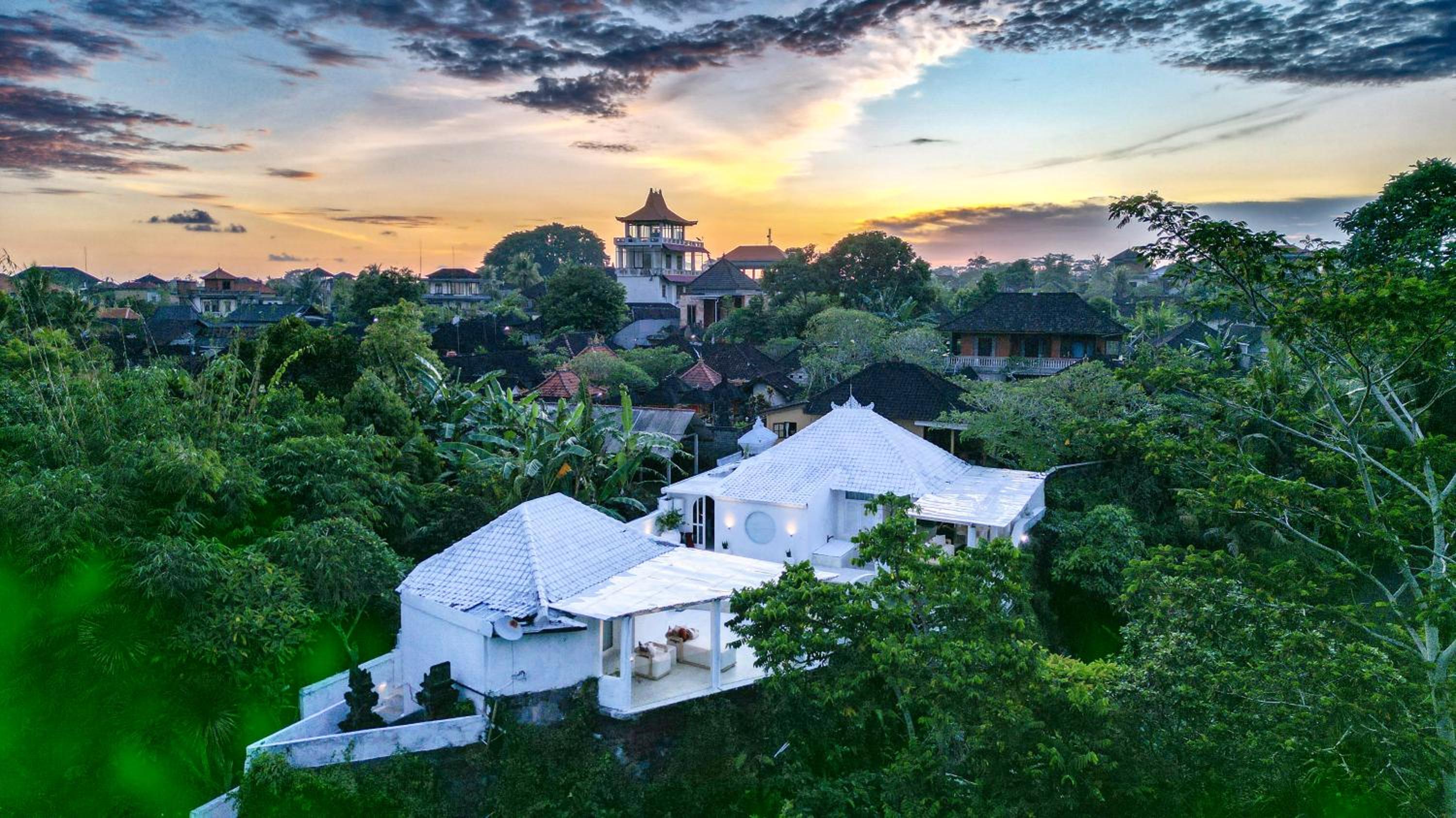 Exclusive 3BR Celebrity Villa - Ice Bath - Sauna - Jacuzzi - Outdoor Gym - BBQ - Stunning Rice Field & Jungle Views view 3