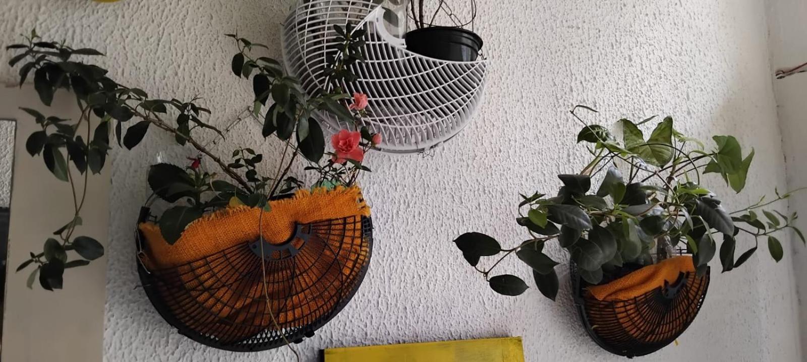Photo 29