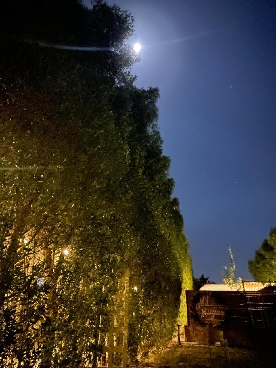 iBiZa Hostel