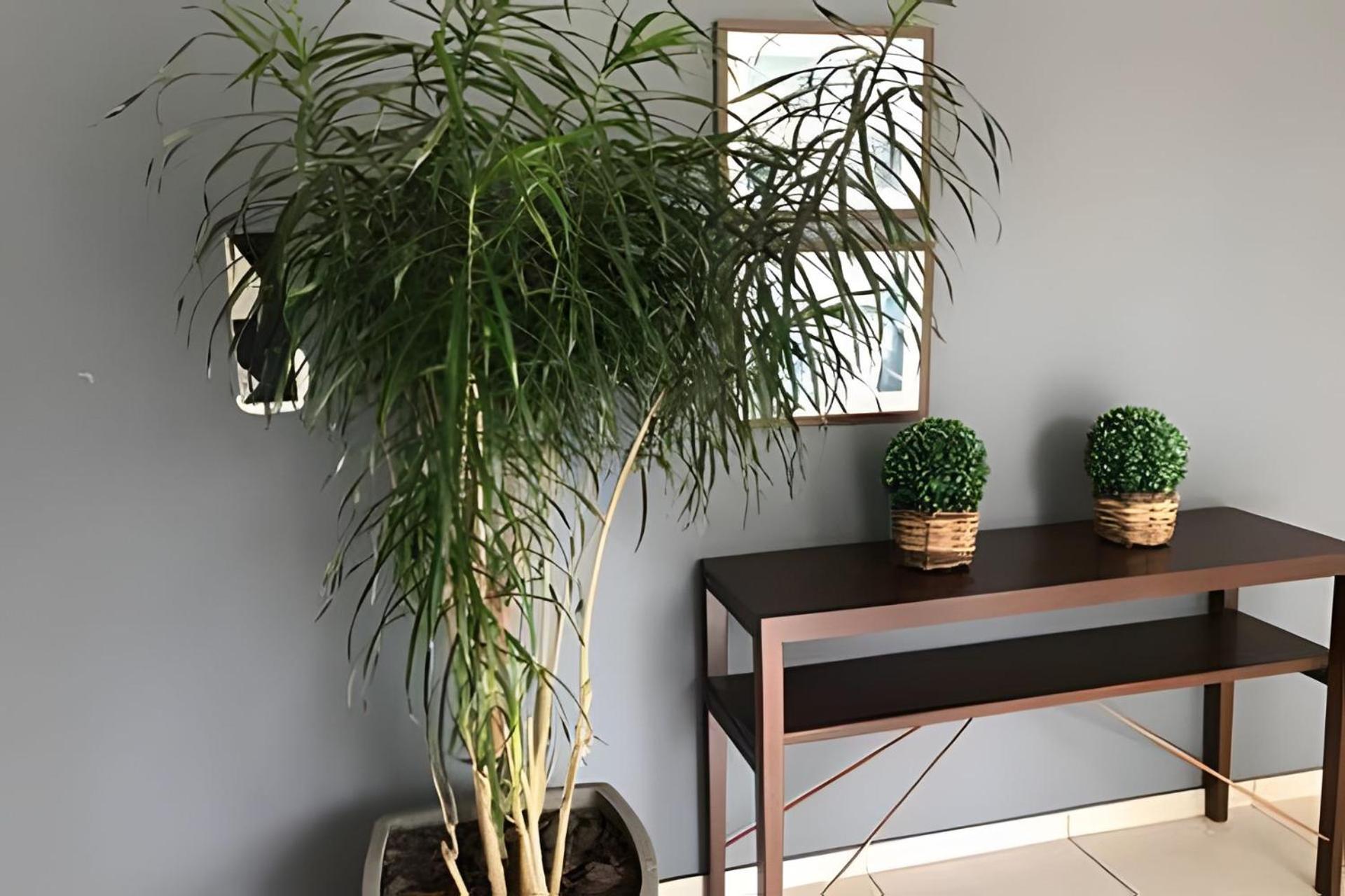 Studio Top Life: Garagem | Wifi | Ar-condicionado NA1002