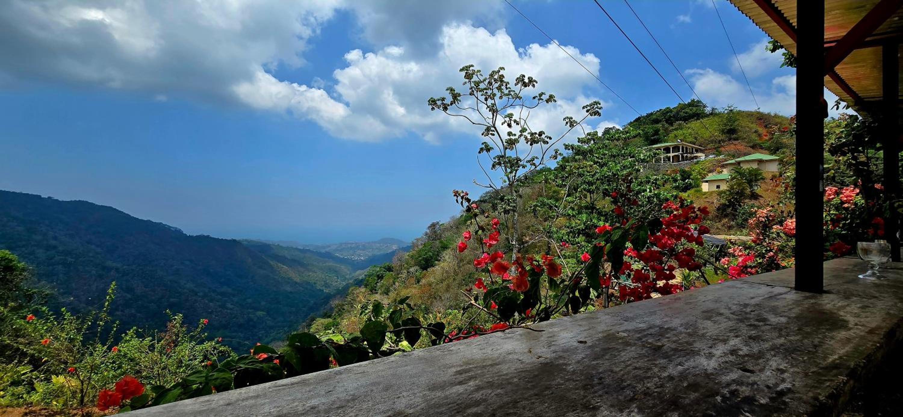 LA CABAÑA & hiking