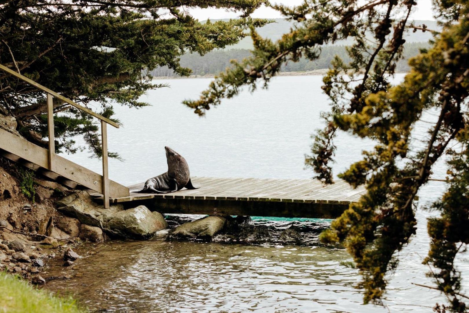 Kaimata Retreat