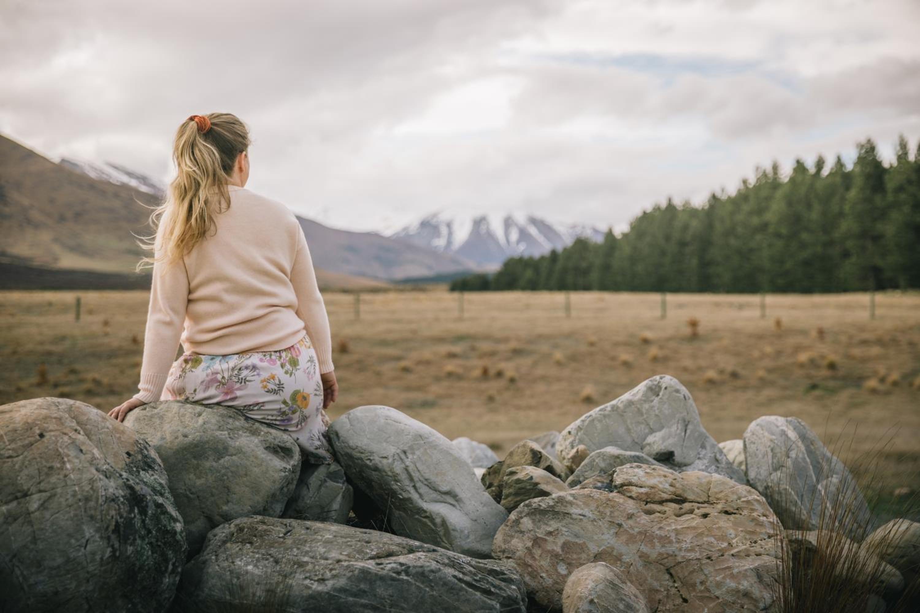 Skylark Cabin view 4