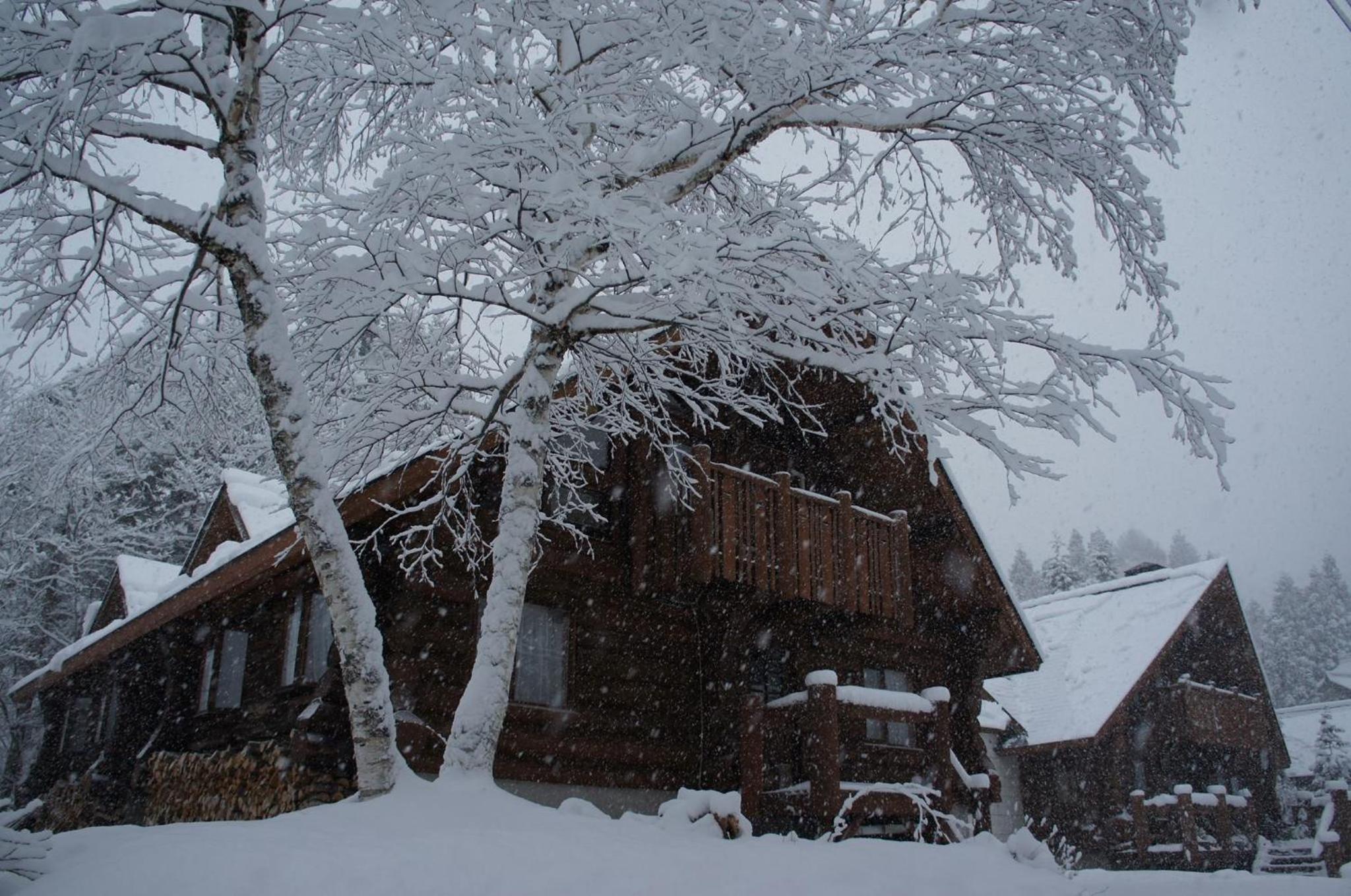log Hotel kamloops