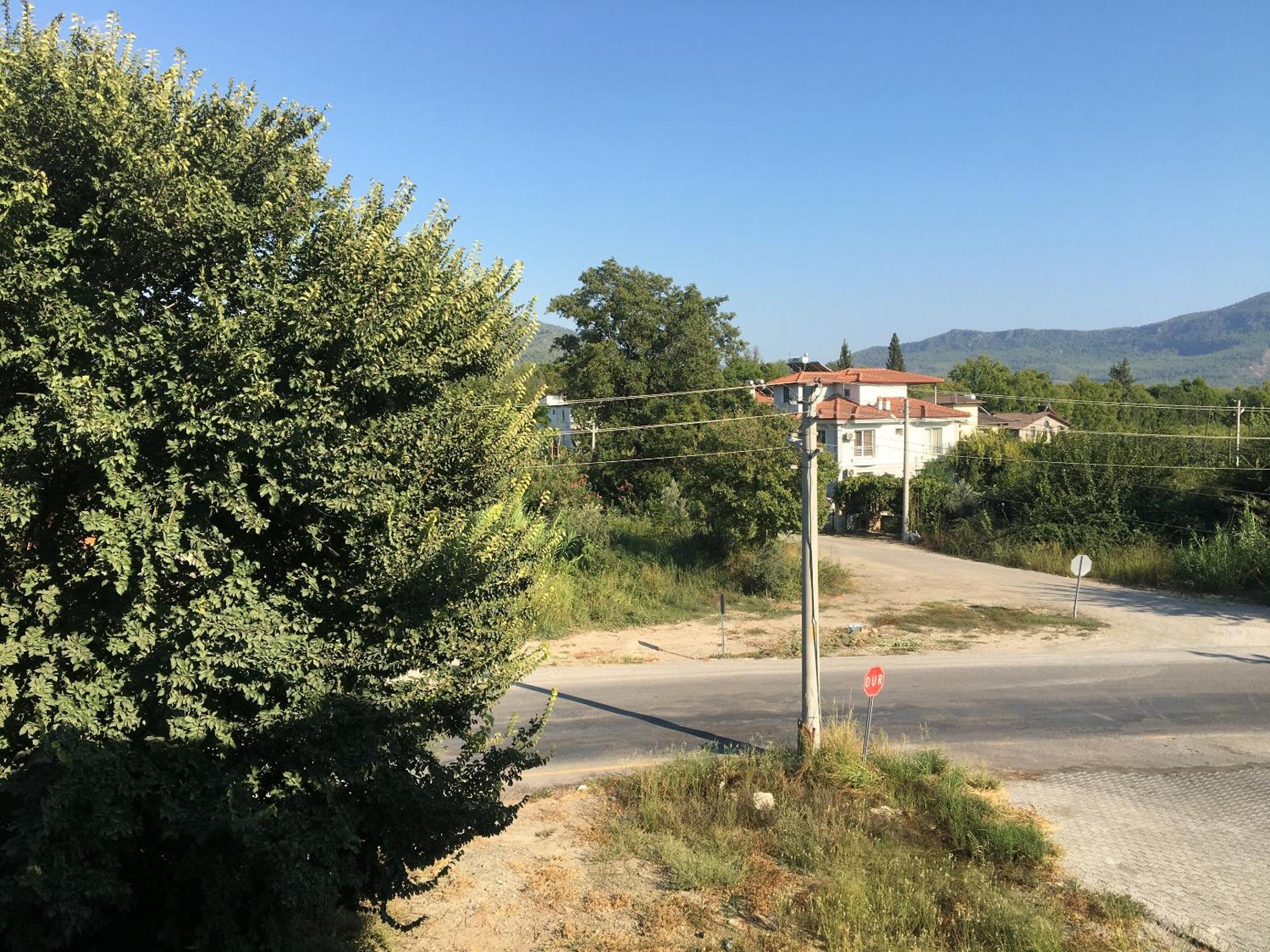 Photo 21