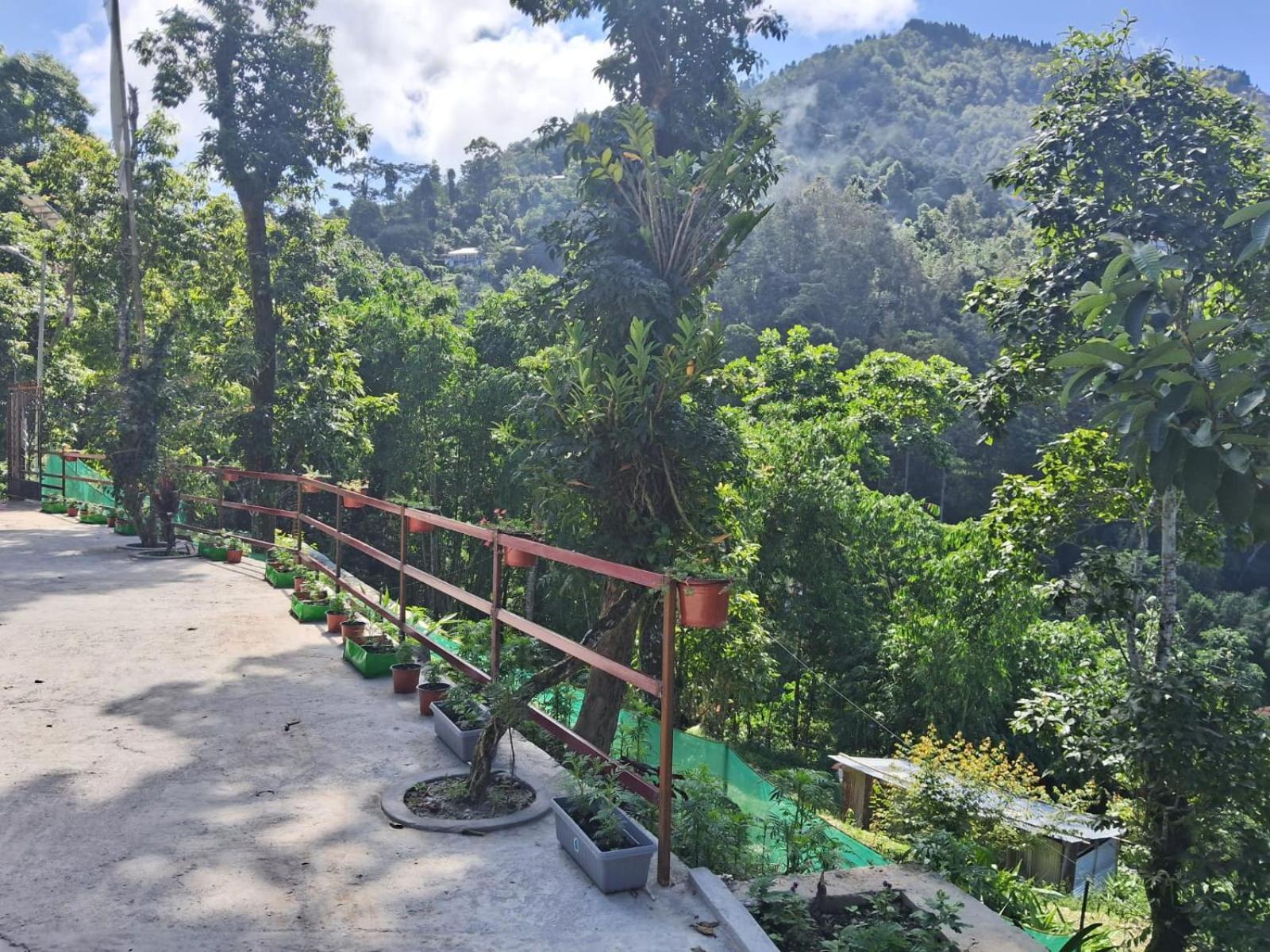 Mahankal Valley Homestay view 4