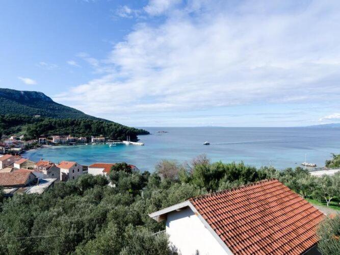 Apartments Dalmatin uljana - Superior Studio Apartment 2