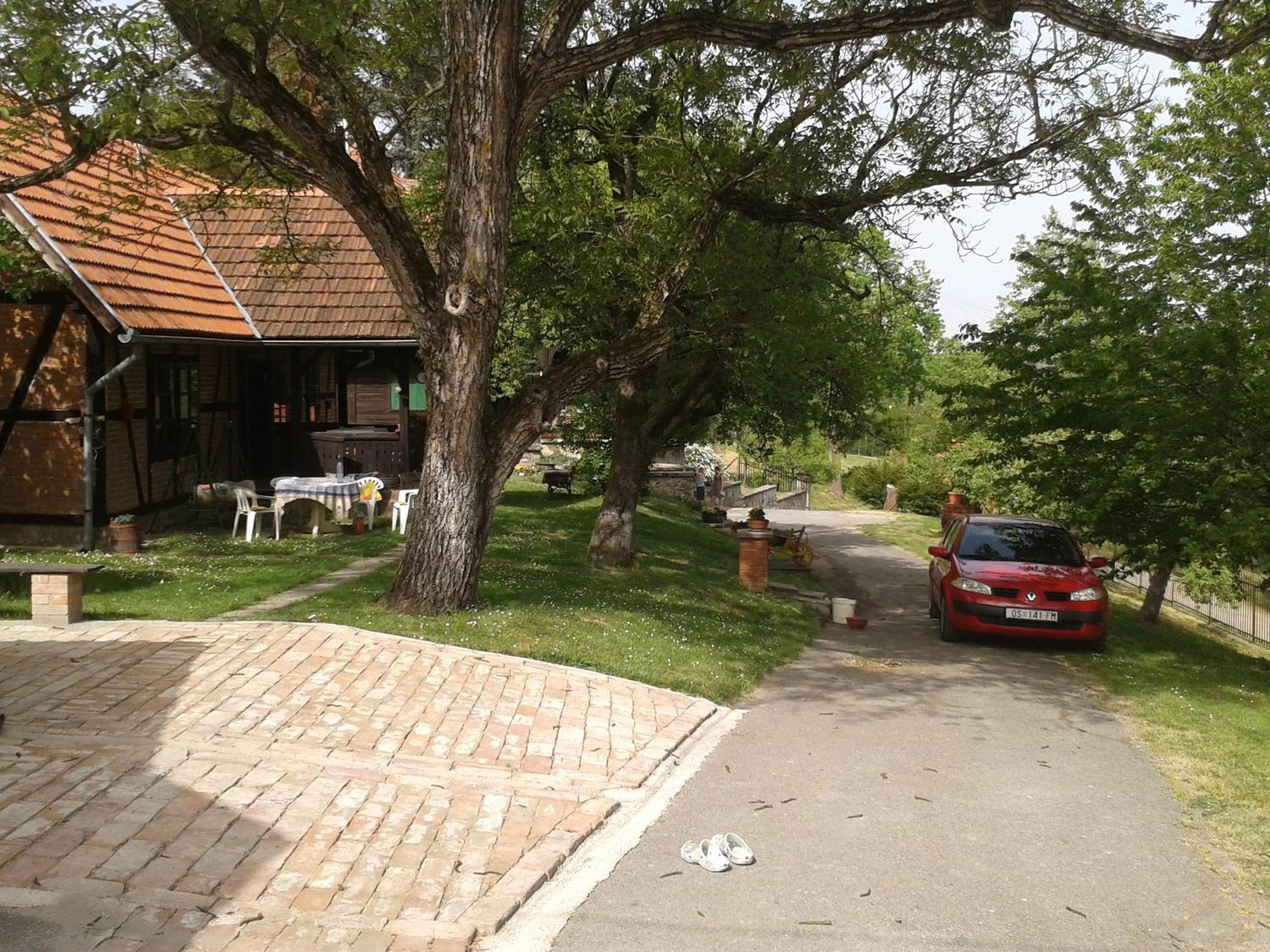 Photo 13