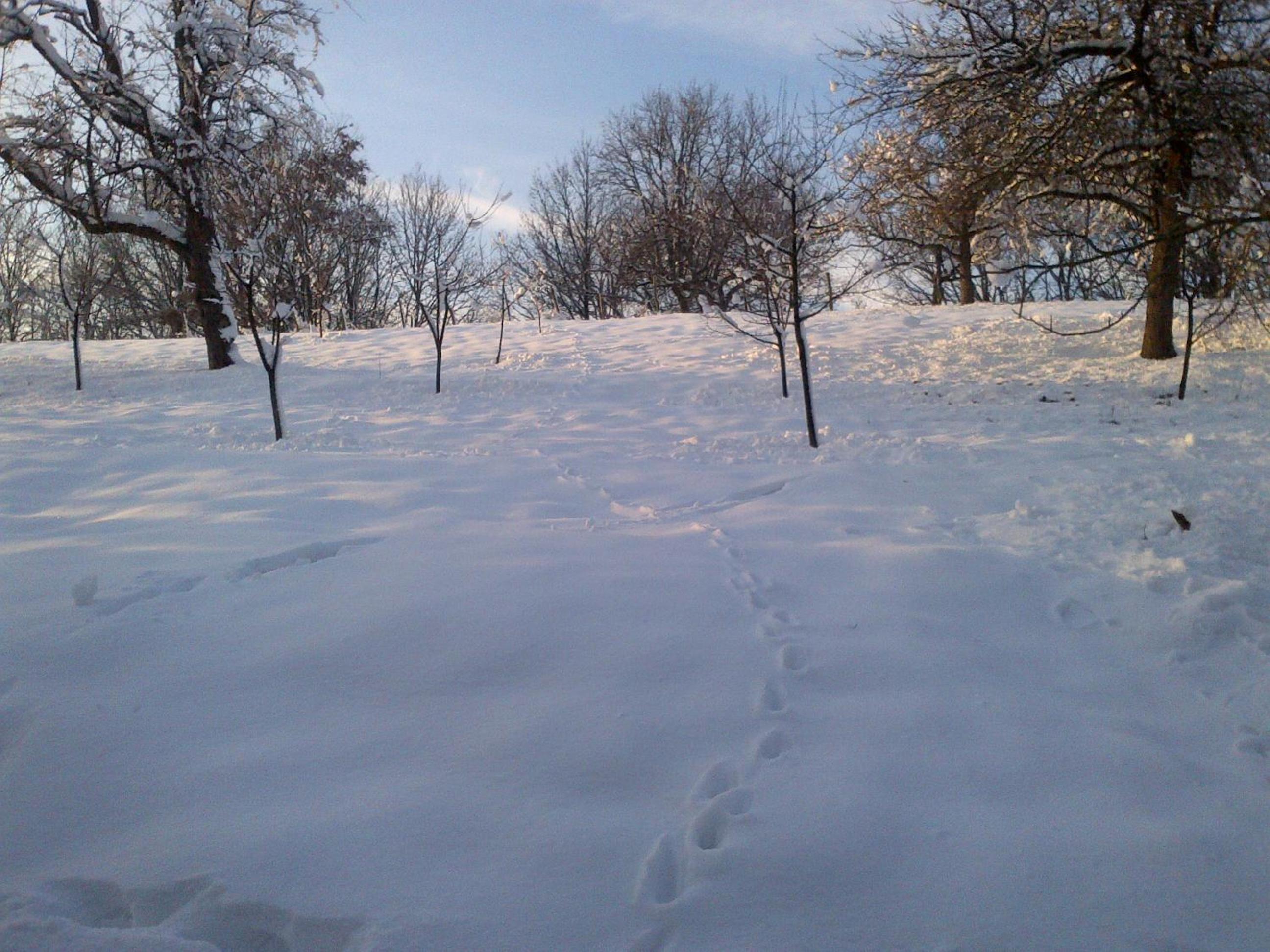 Photo 23