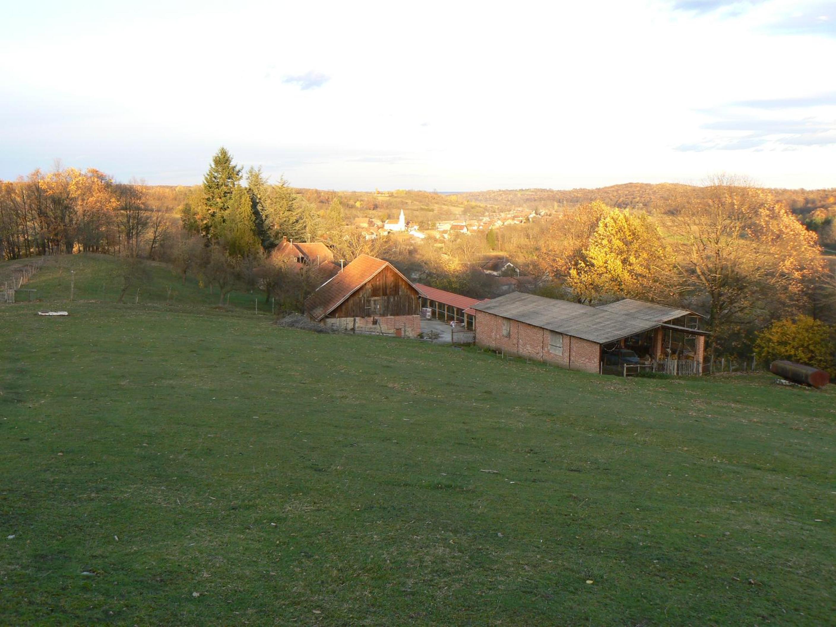Photo 25
