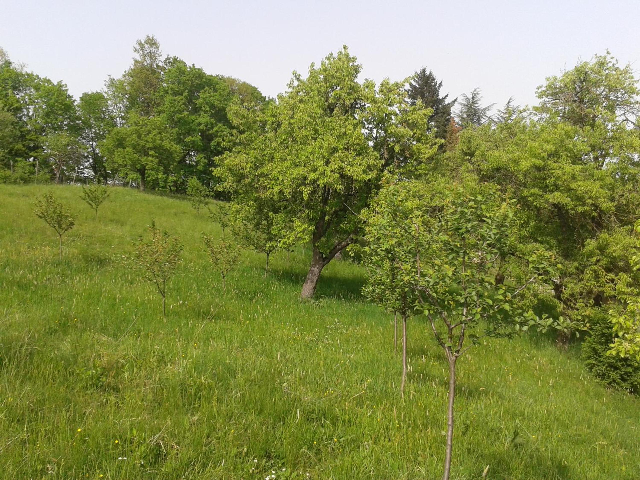 Photo 35