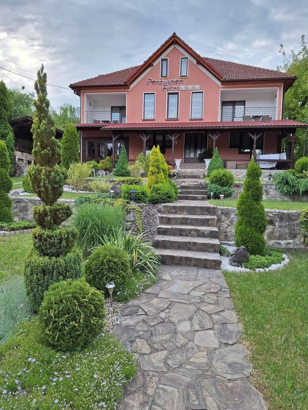 Pensiunea Flori
